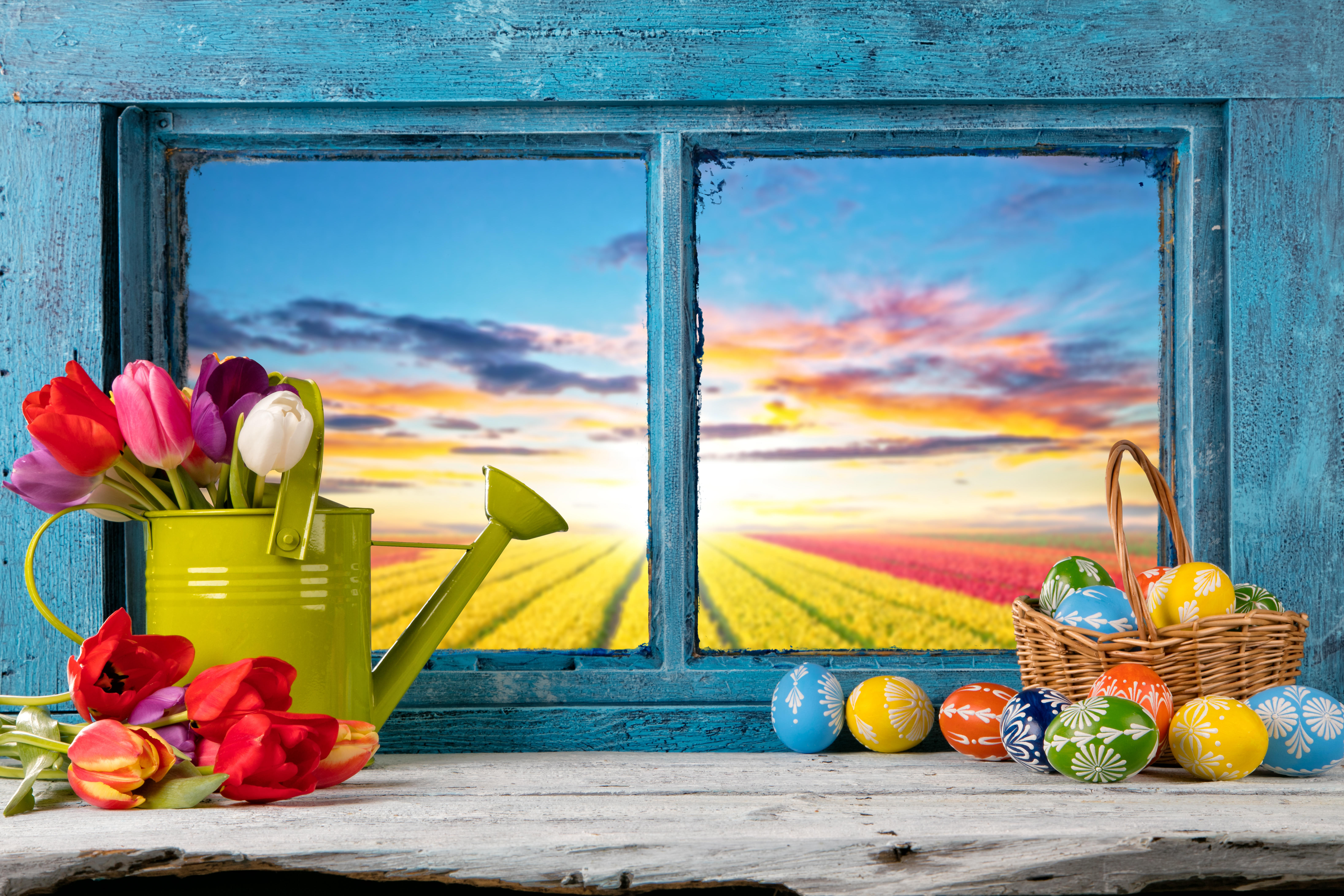 Фото бесплатно пасхальные яйца, пасха, окно