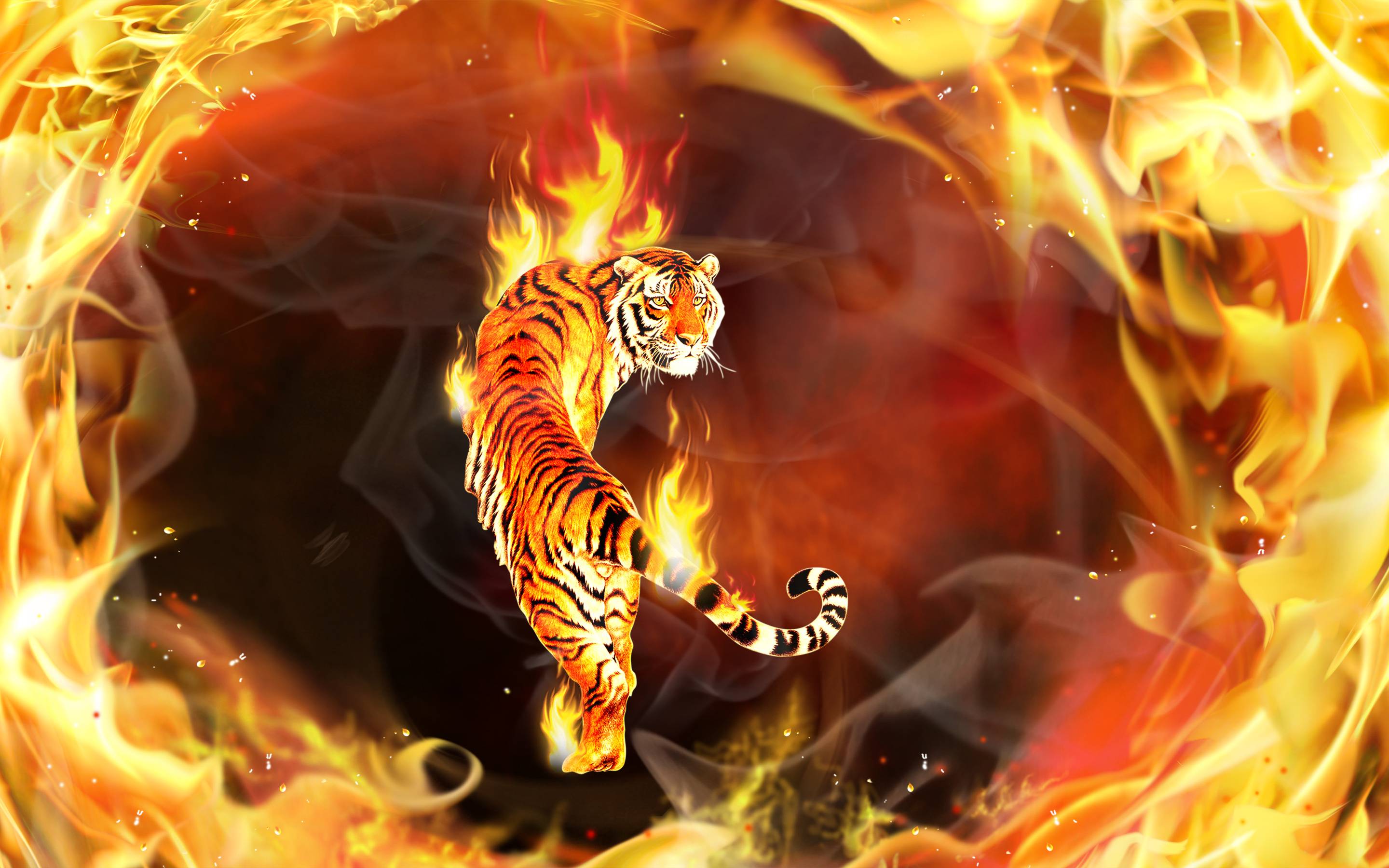 Wallpapers tiger fire 3d on the desktop