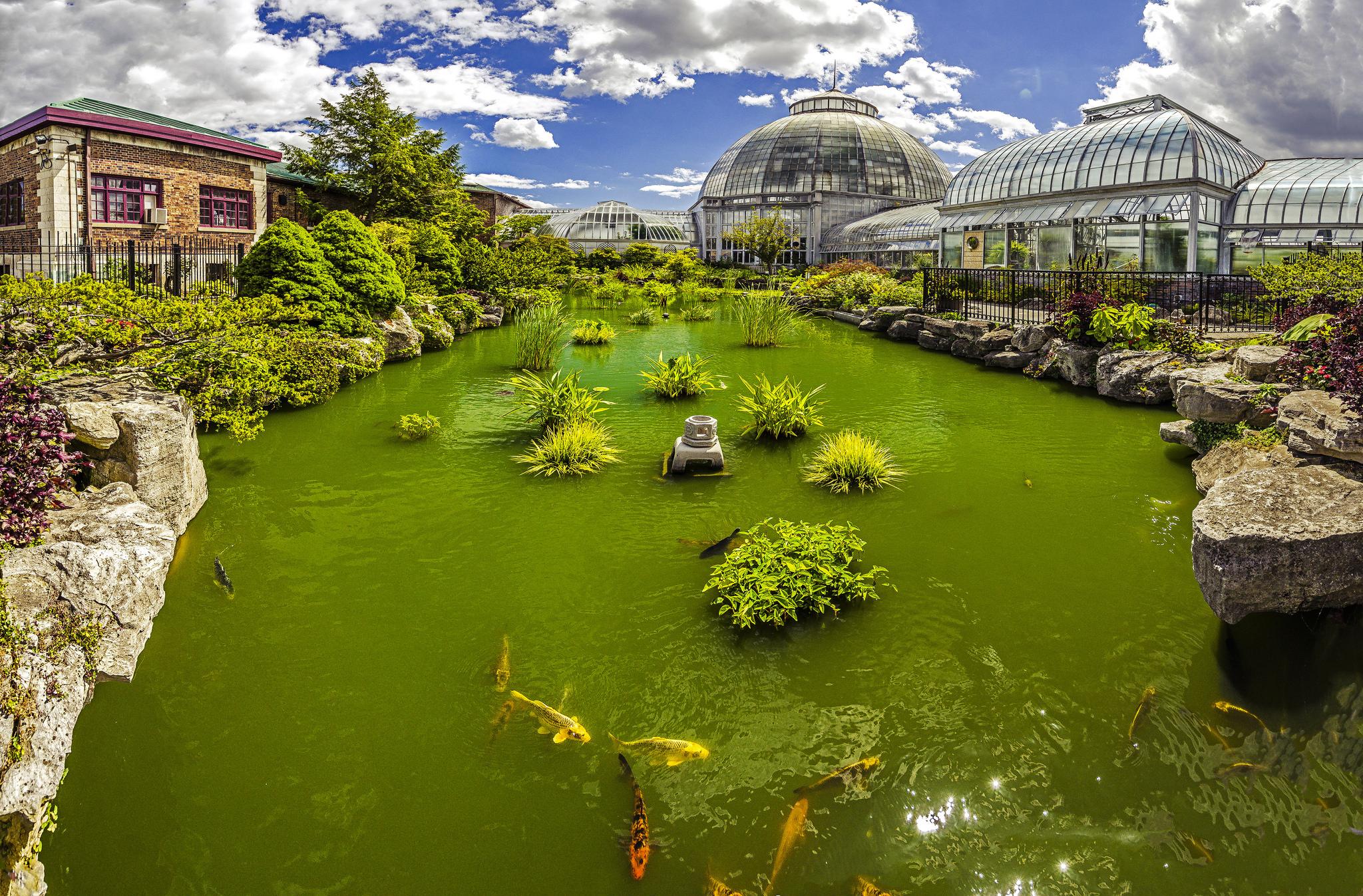 Wallpapers the pond and greenhouse Belle Isle Michigan on the desktop