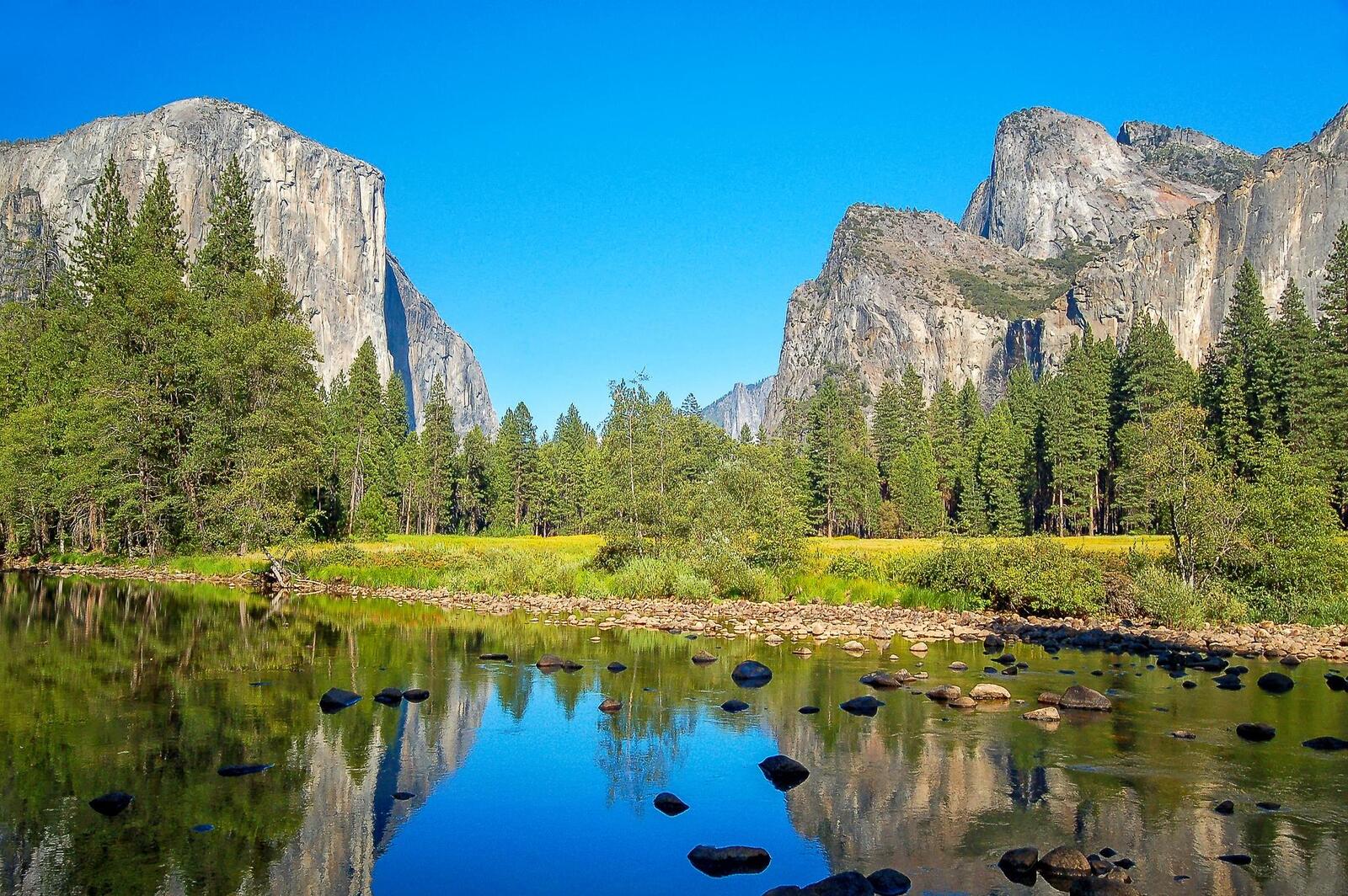 Обои национальный парк Йосемити лето новогодние елки на рабочий стол
