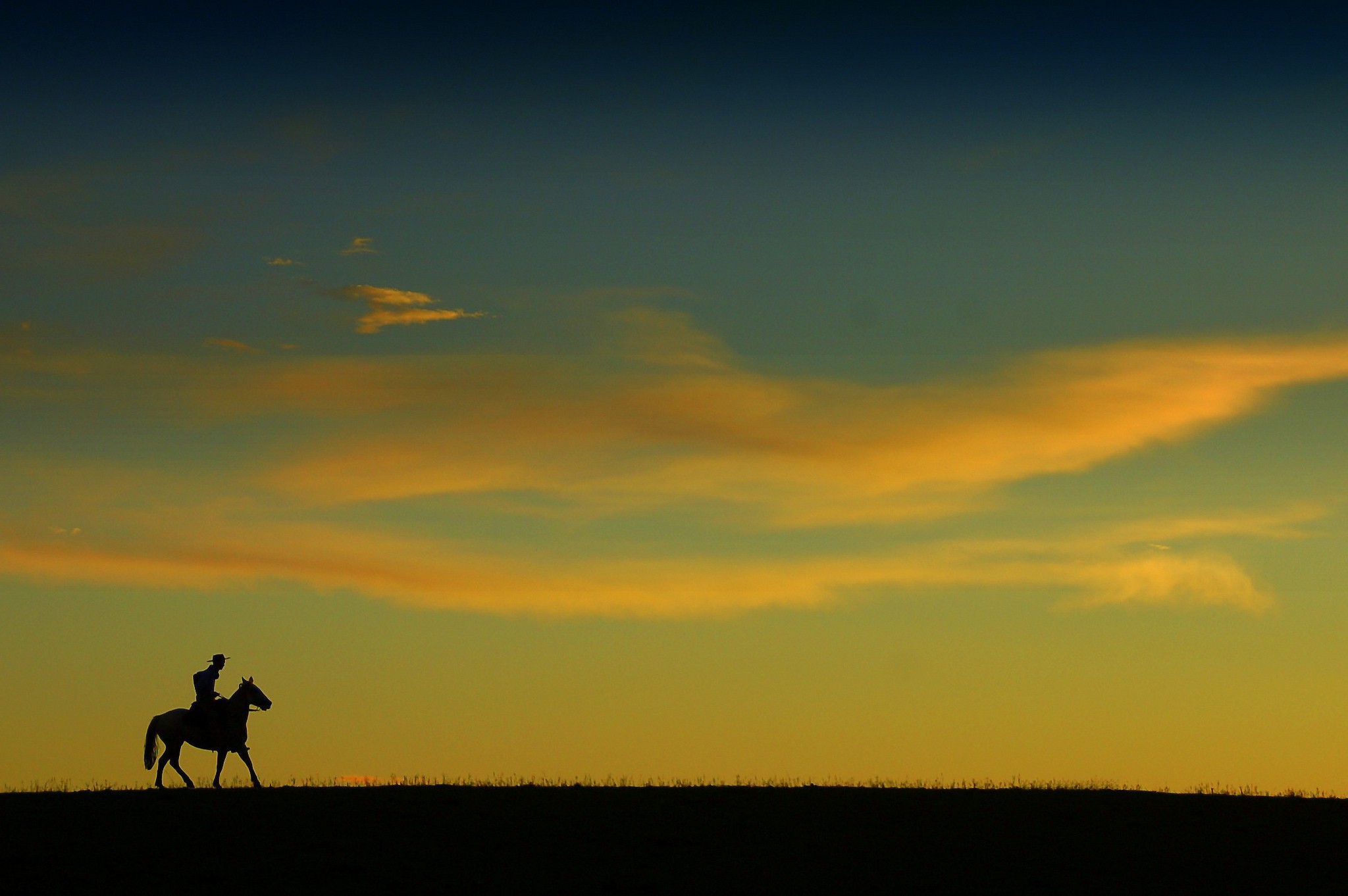 Лошадь в степи на закате