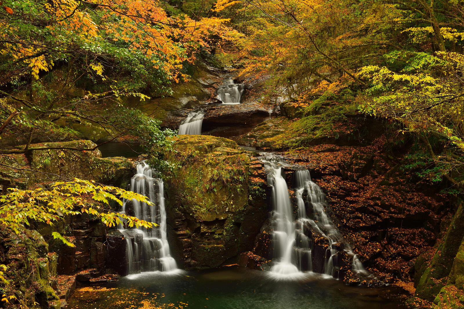 Wallpapers autumn nature waterfall in the forest trees on the desktop
