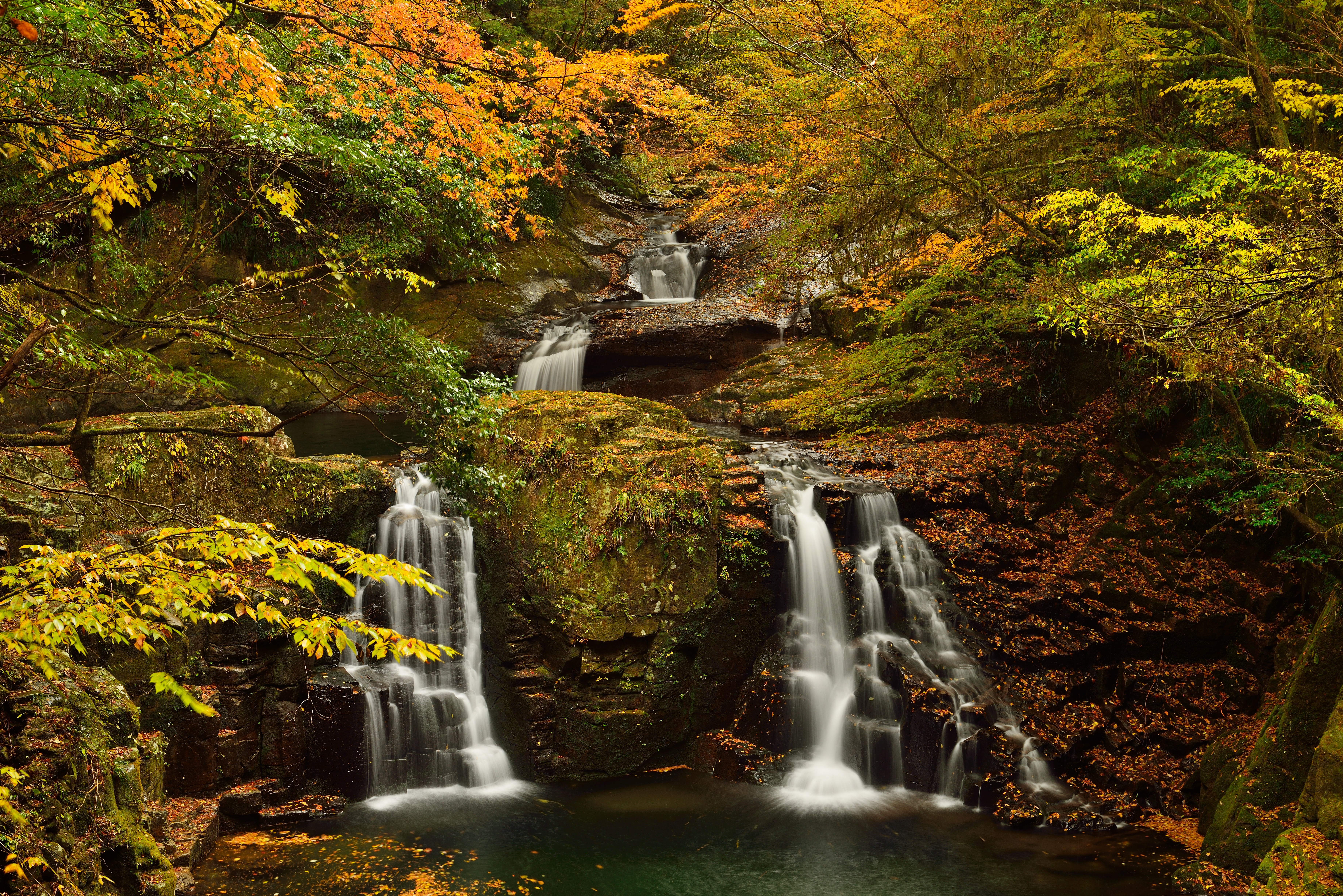 Фото бесплатно природа осенью, водопад в лесу, деревья