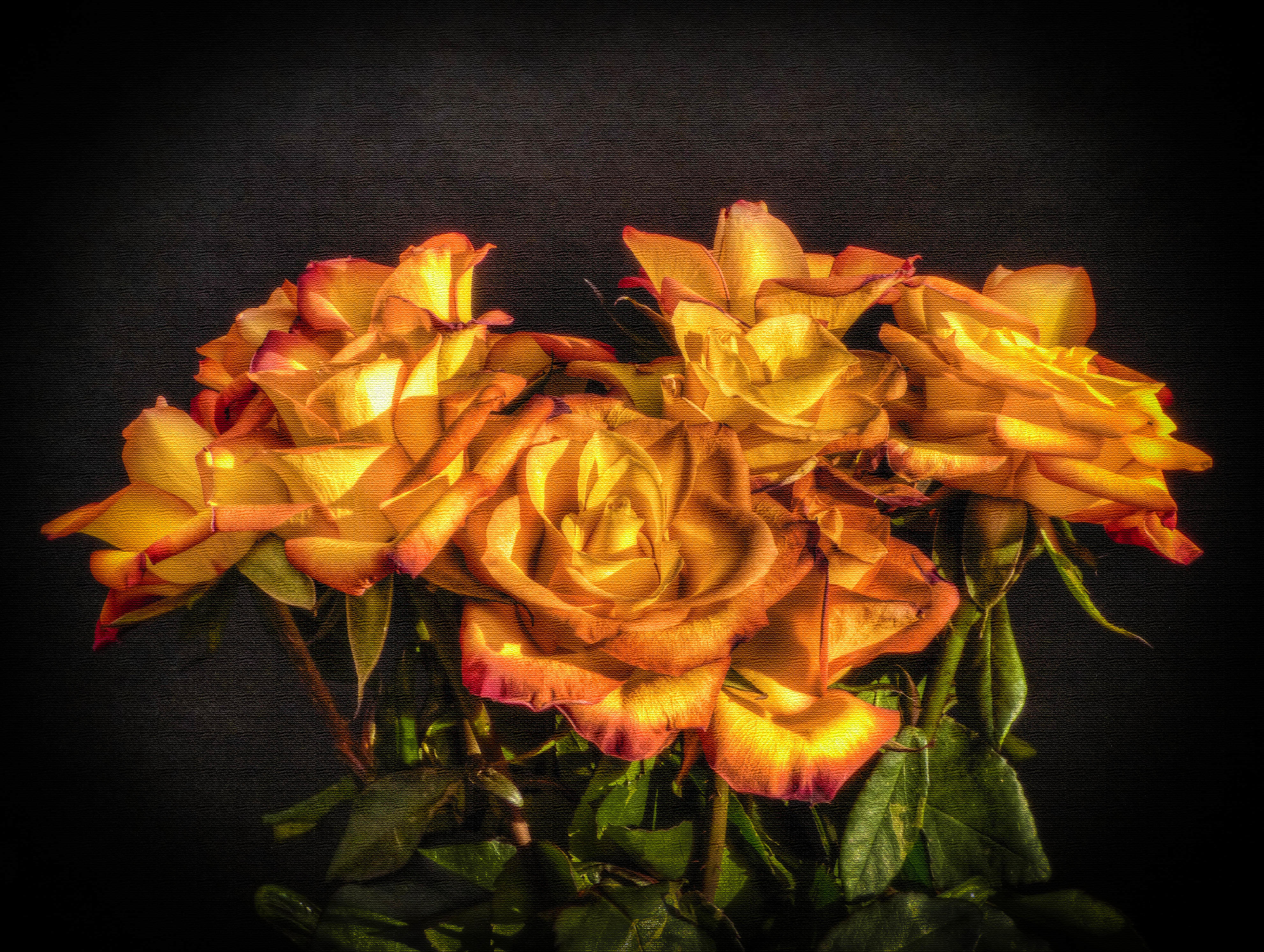 Фото бесплатно полотно, розы, цветы