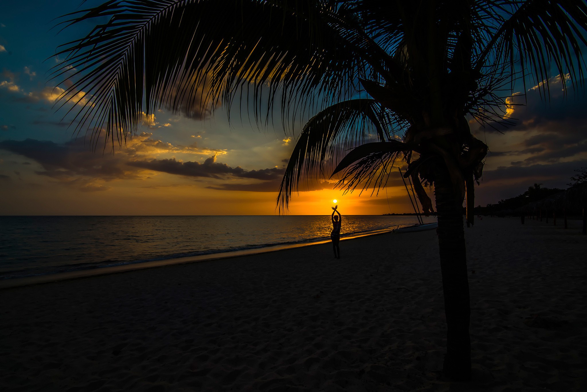 Wallpapers palm tree sunset girl on the desktop