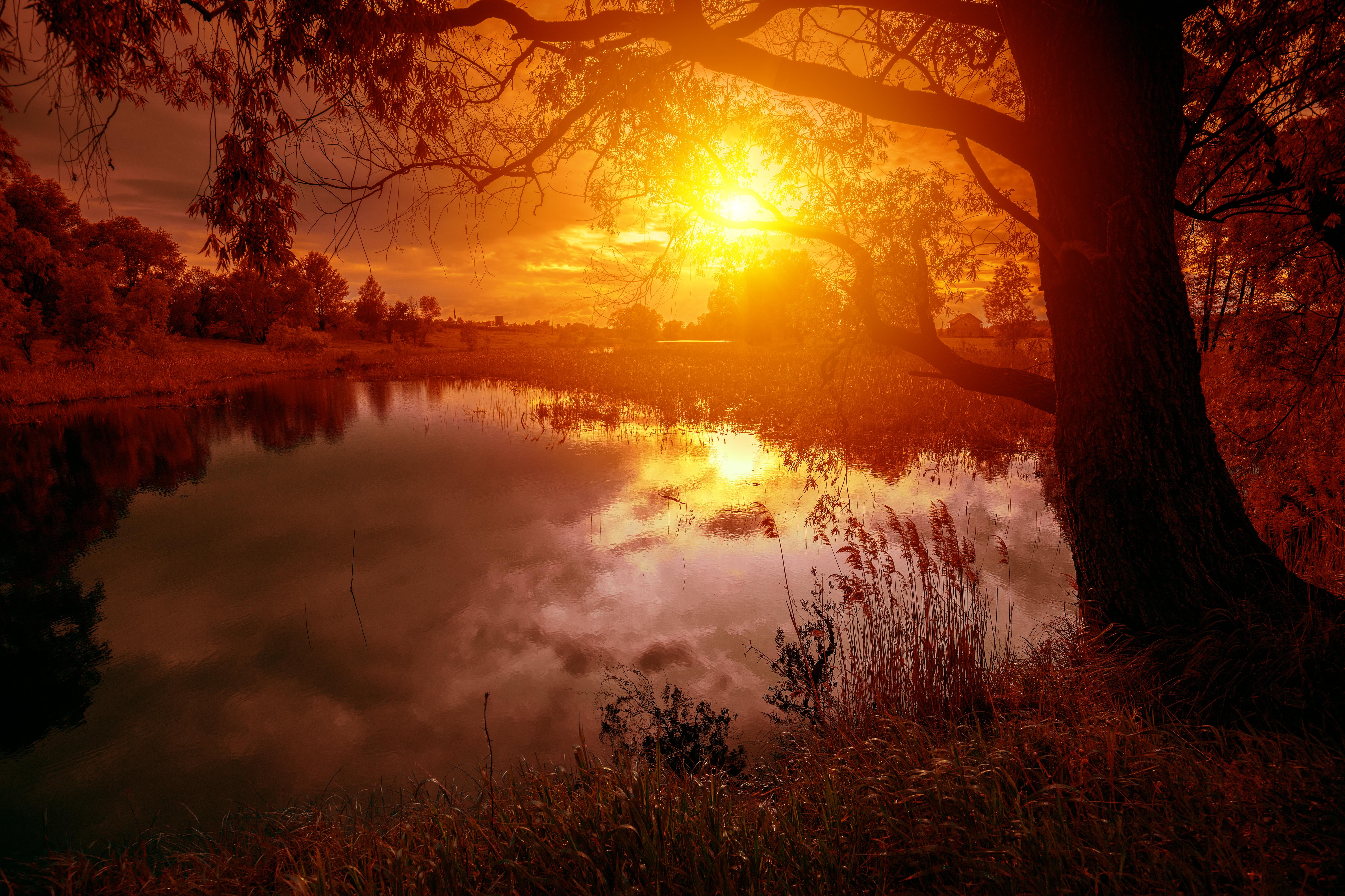 Фото бесплатно осень, река, темнеет