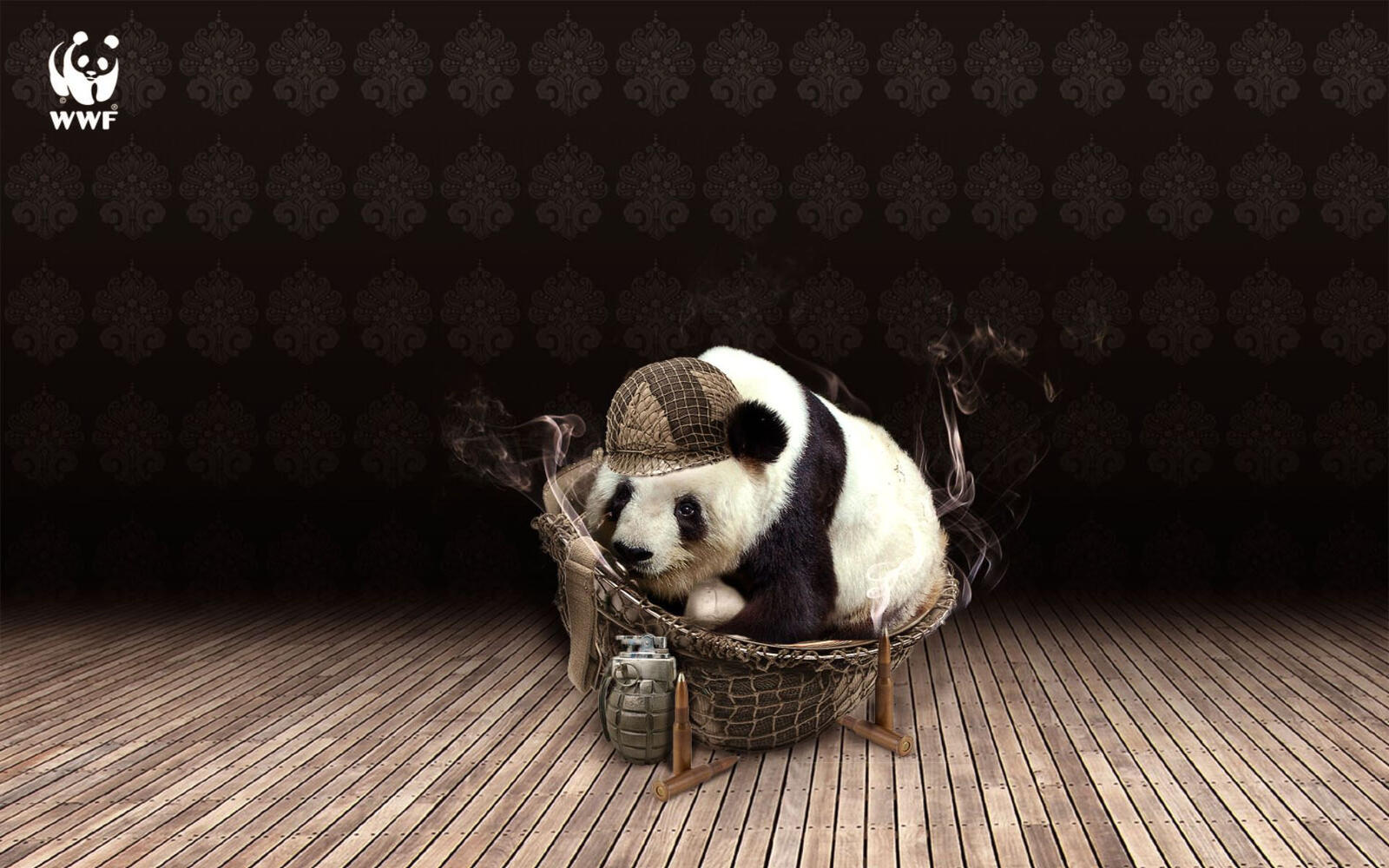 Обои панда бамбуковый медведь каска на рабочий стол
