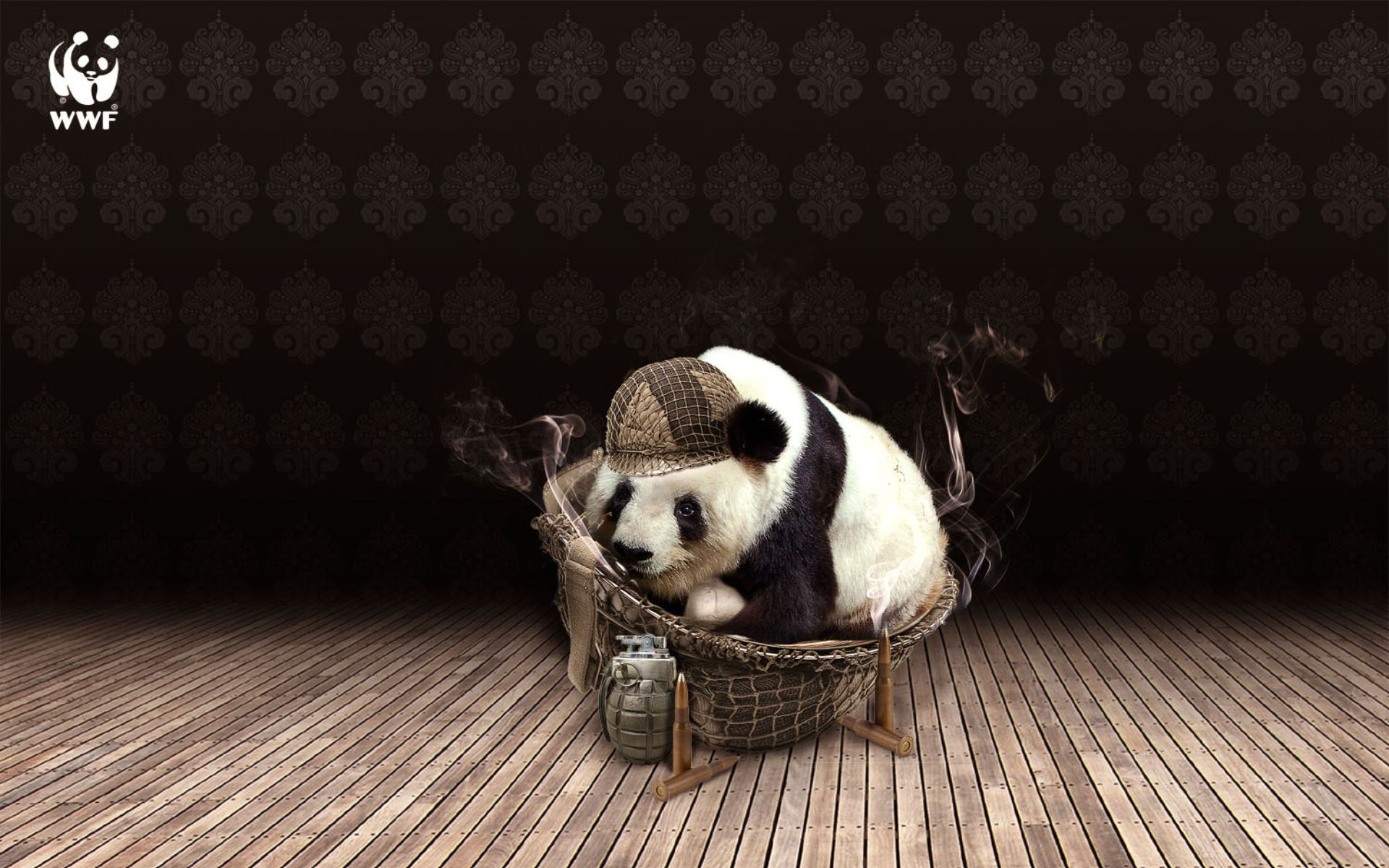 Photo free panda, bamboo bear, helmet