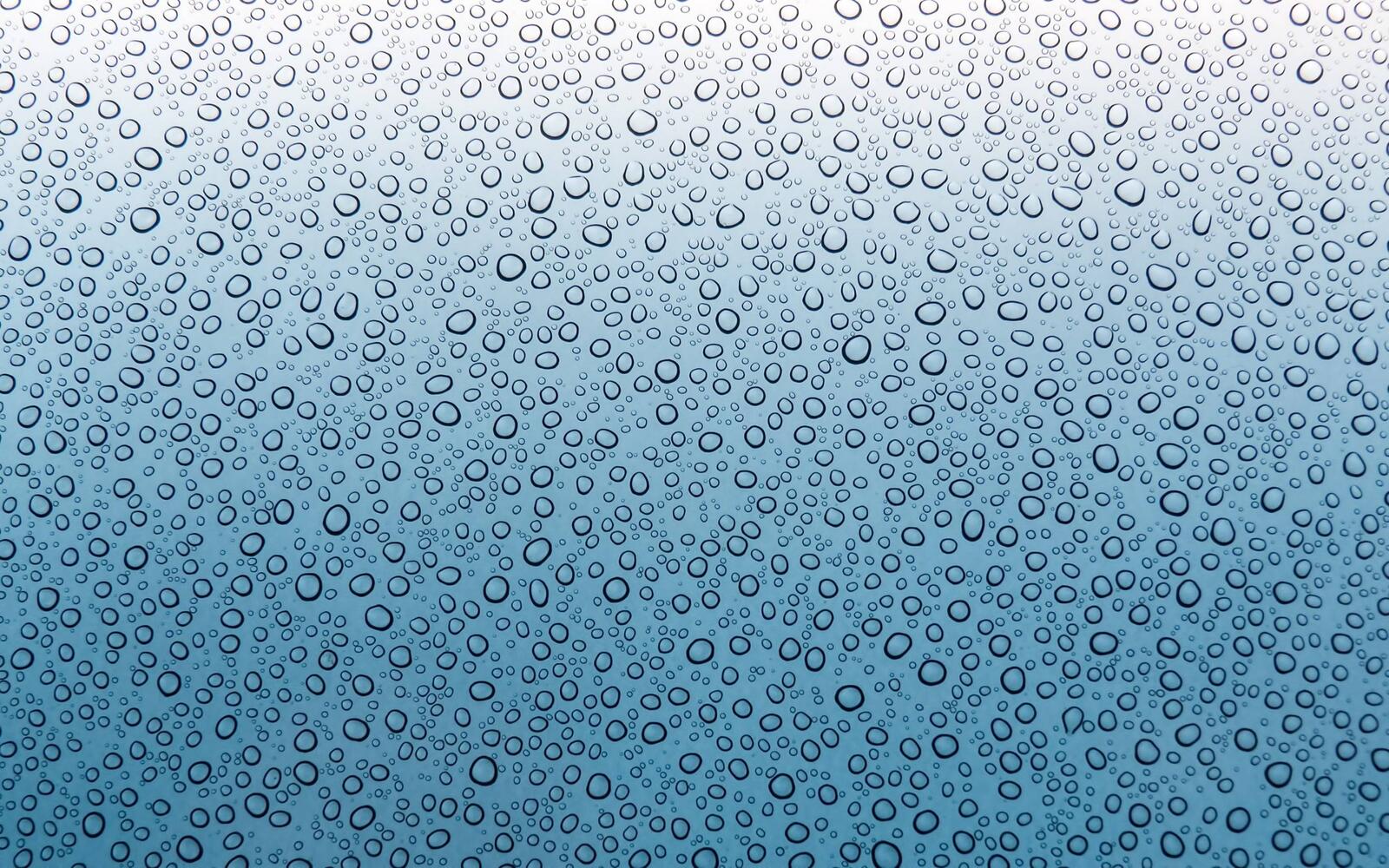 Wallpapers liquid bubbles screensaver on the desktop