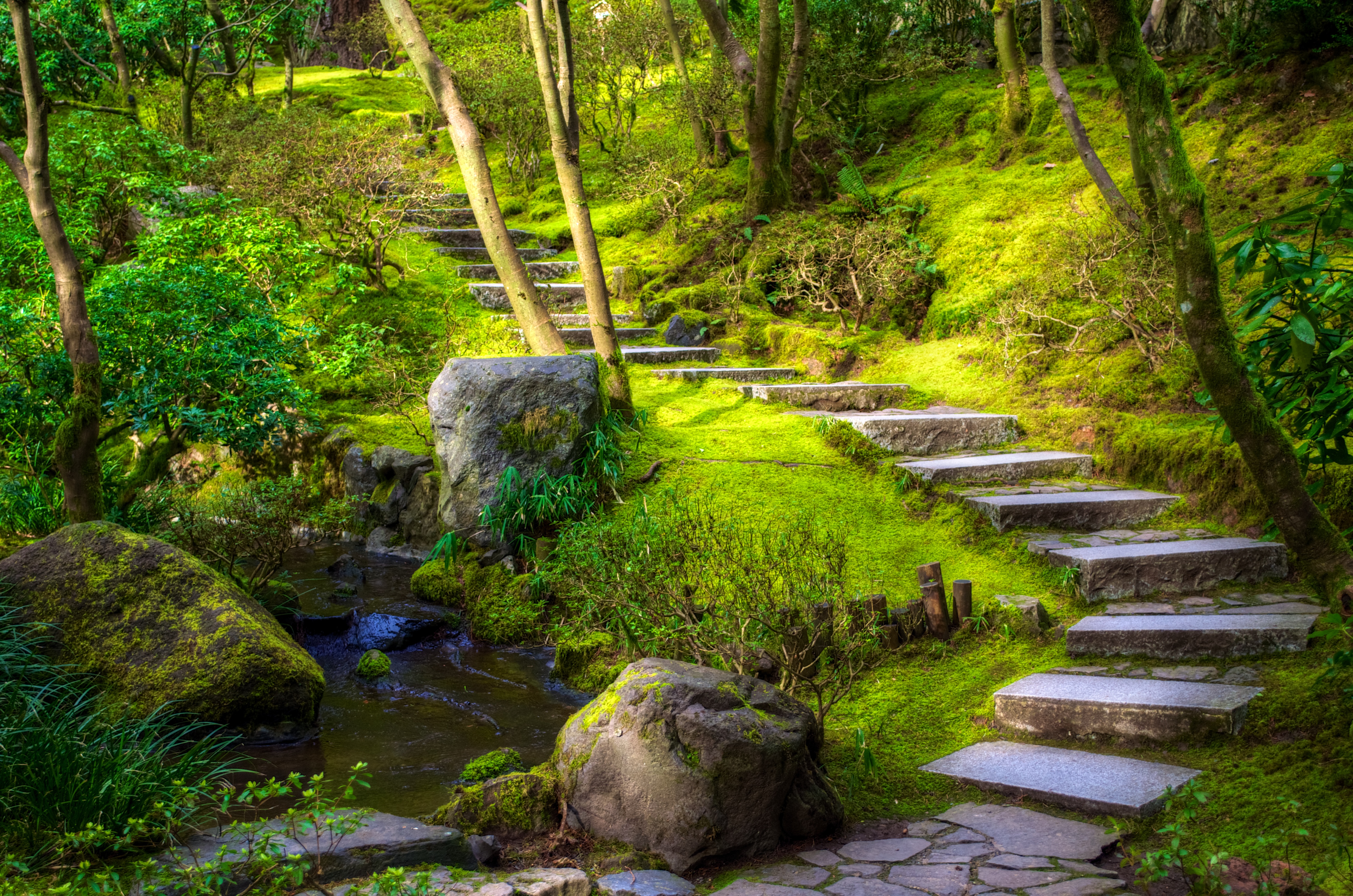 Сходи в лес. Каменные тропинки в парке Японии. Ступеньки в лесу. Сказочный ландшафт. Сказочная тропинка.