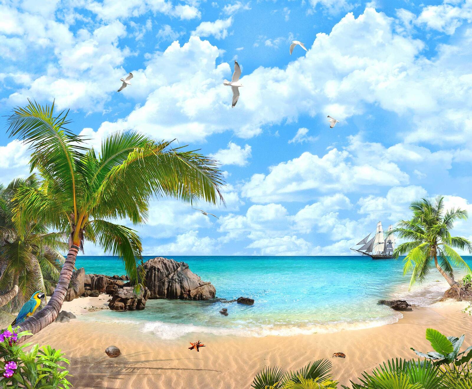 Wallpapers ship palm trees parrot on the desktop
