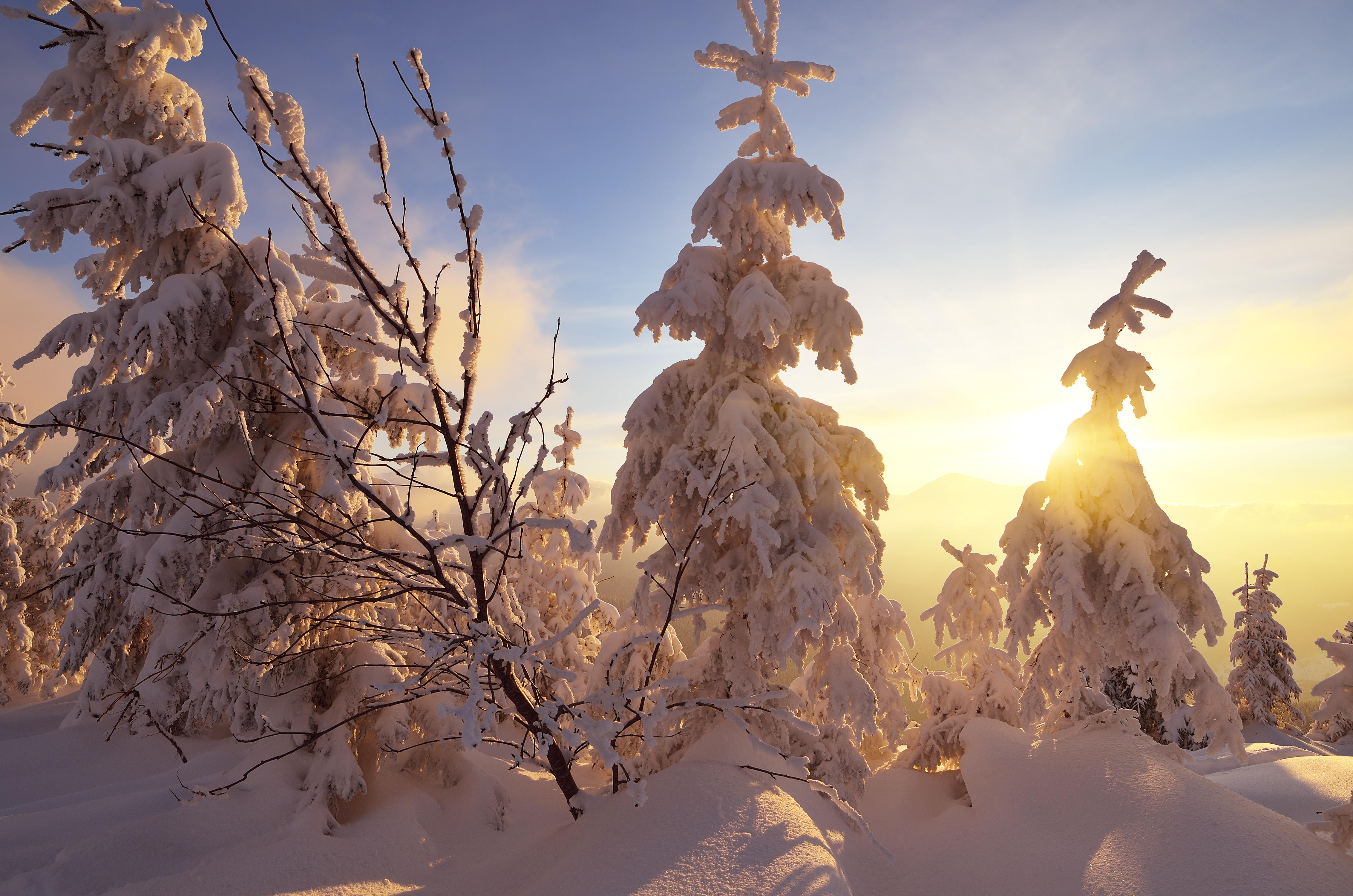 Фото бесплатно пейзаж, большие сугробы, деревья в снегу