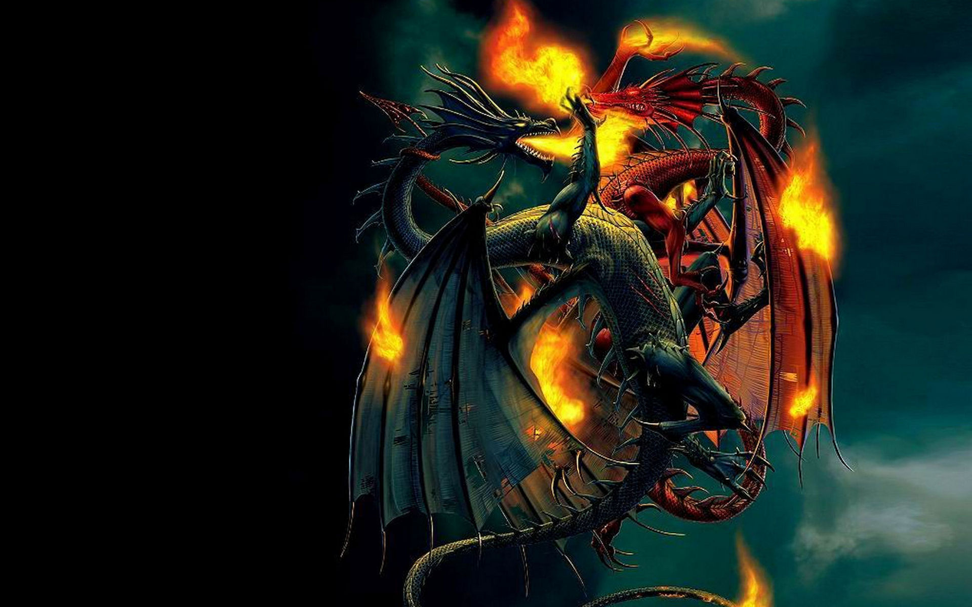 Wallpapers dragons fight wings on the desktop