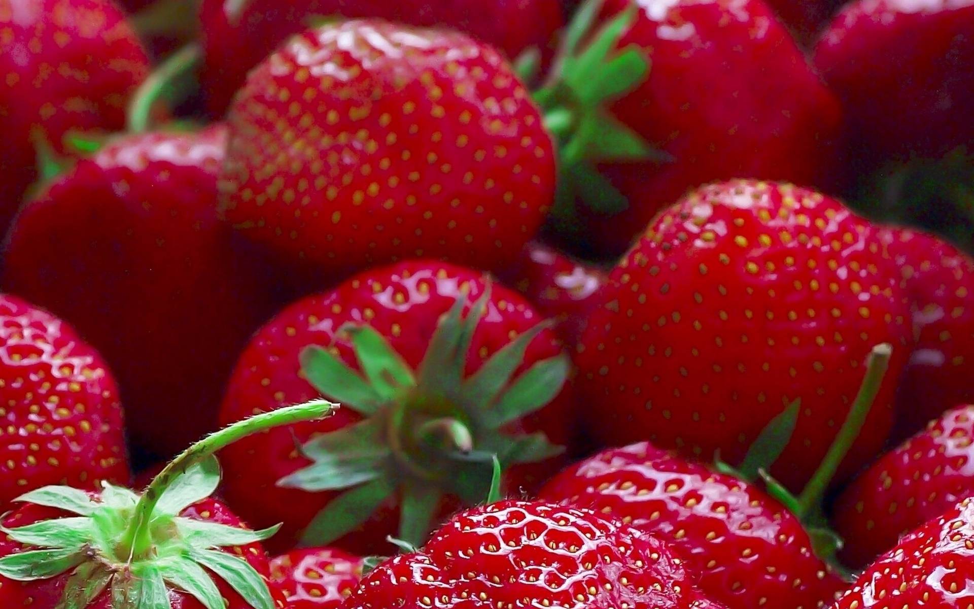 Wallpapers green strawberry ripe on the desktop