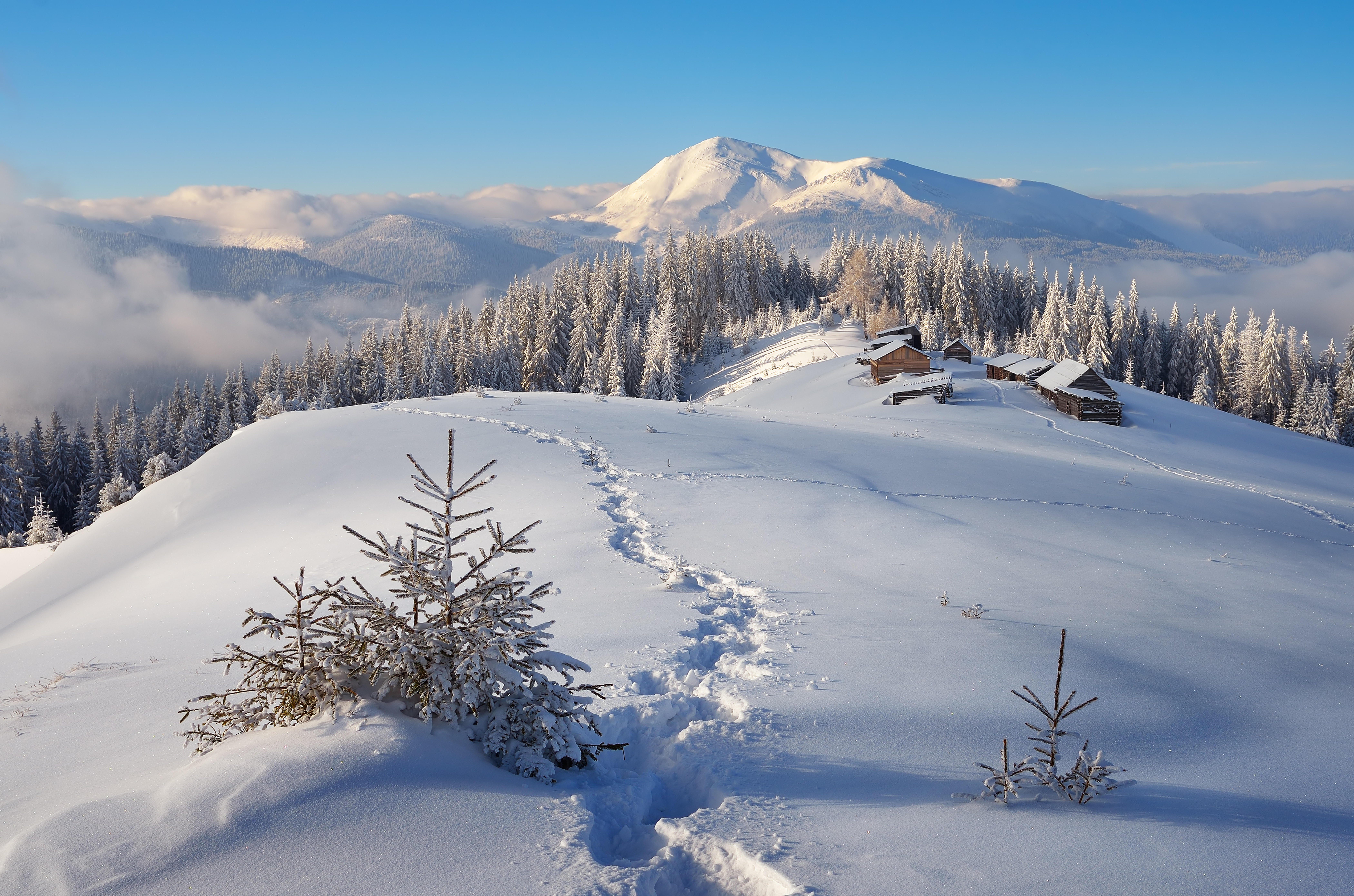 природа снег зима дома деревья горы бесплатно