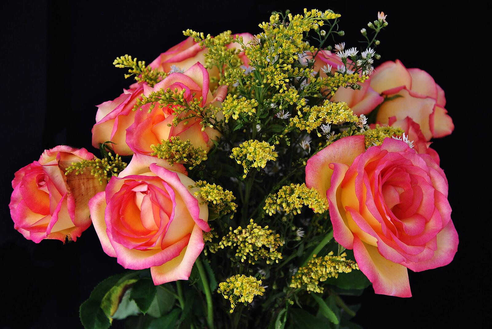 Обои розы цветок букет роз на рабочий стол