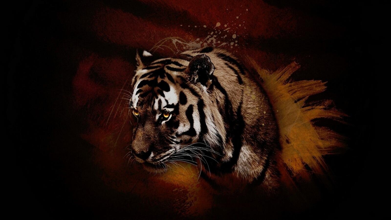 Wallpapers cat tiger predator on the desktop