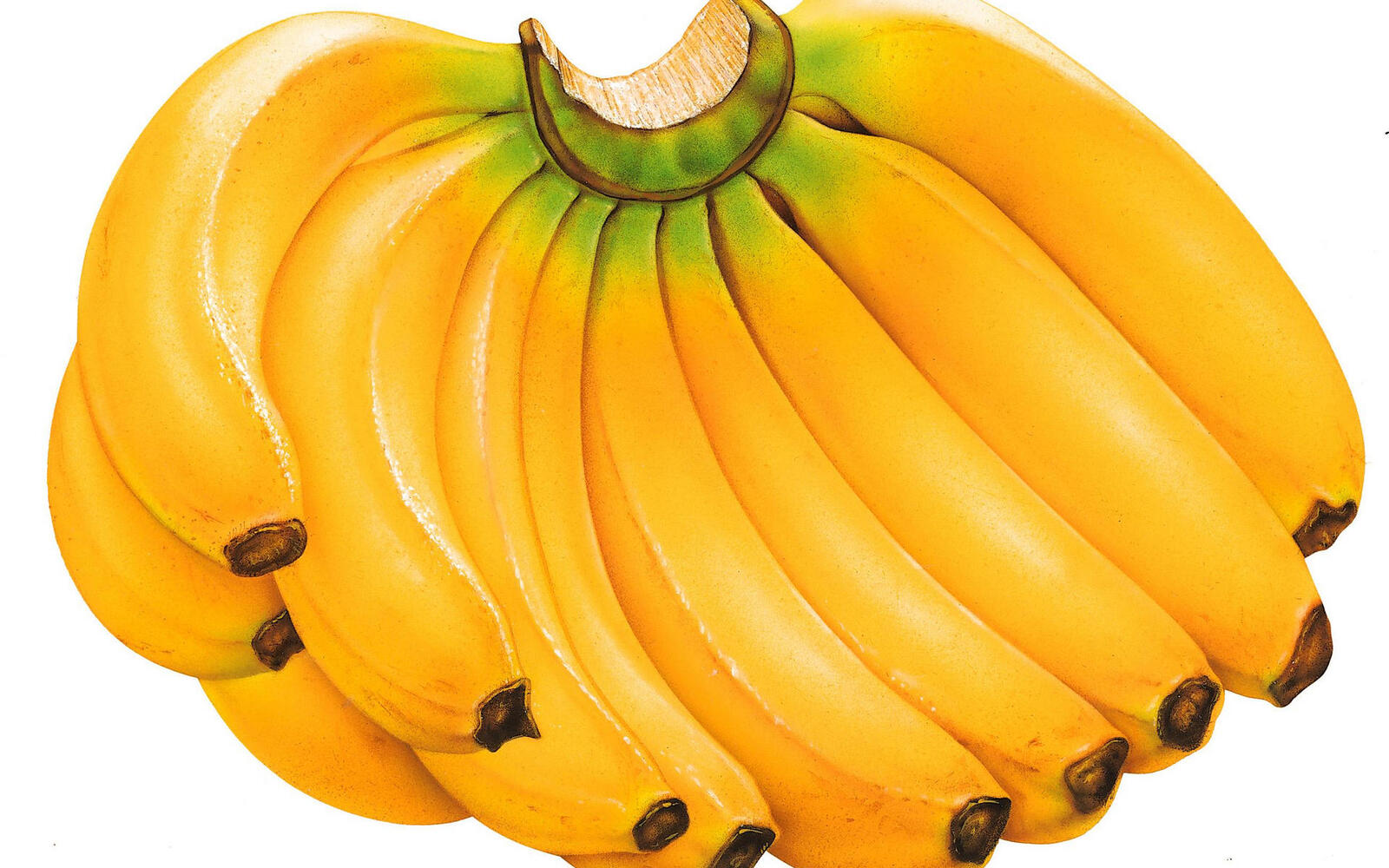Обои фрукты бананы связка на рабочий стол