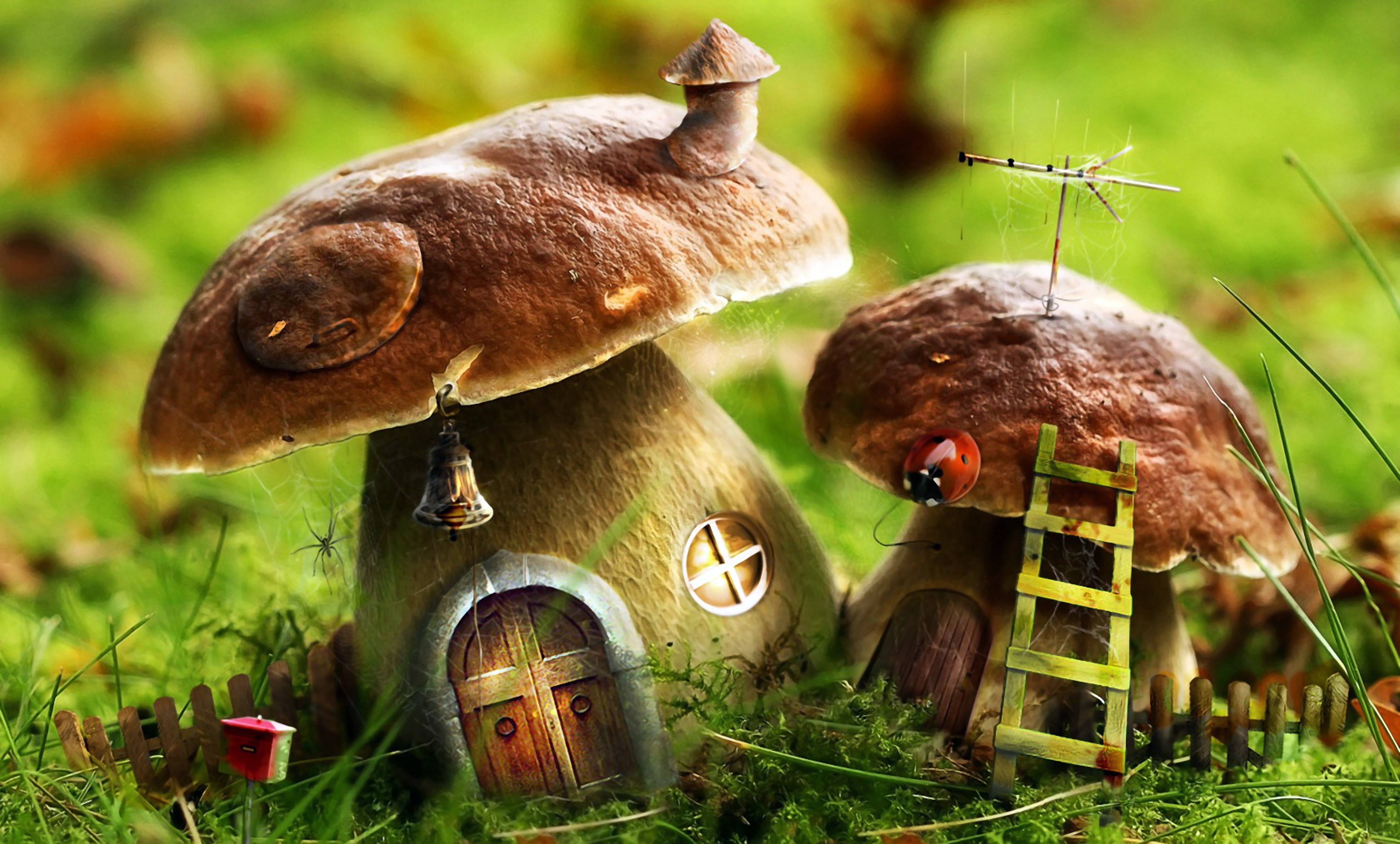Wallpapers fairy-tale houses fabulous mushrooms white fungus on the desktop
