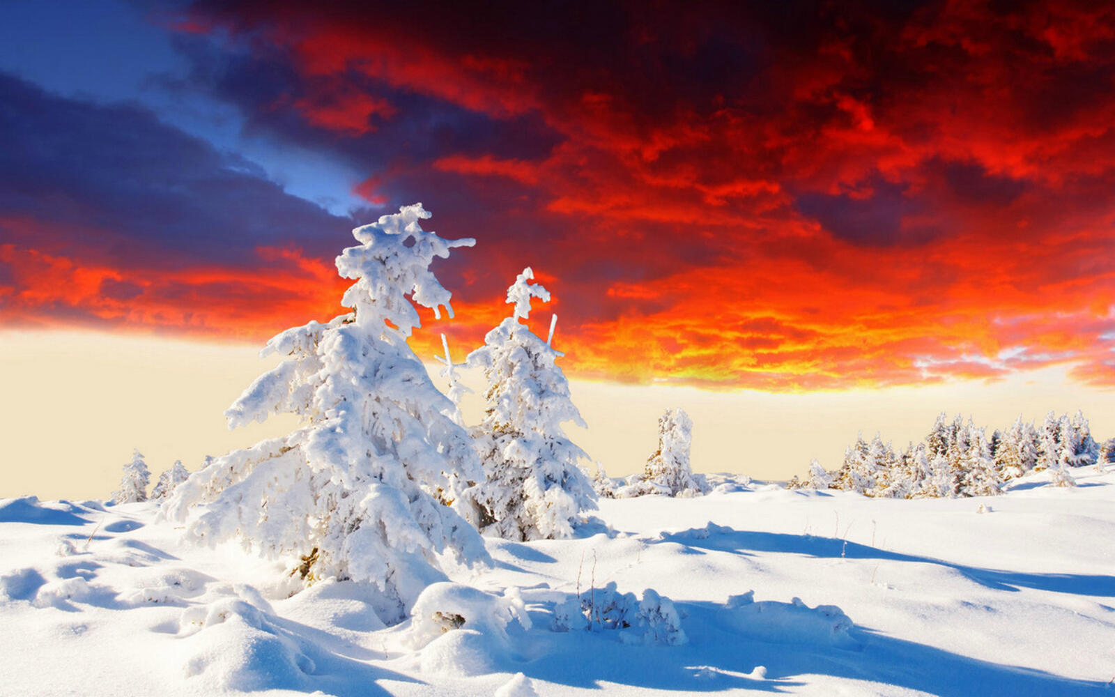 Wallpapers trees clouds red snowdrifts on the desktop