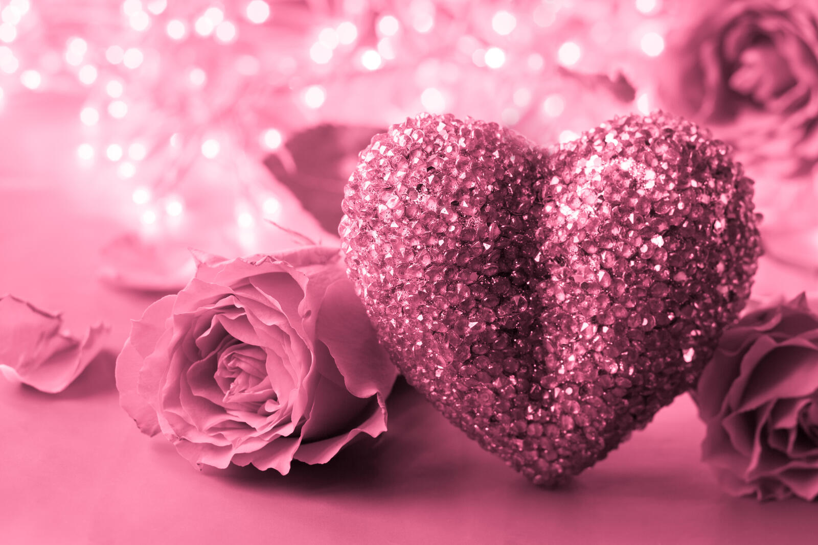 Free photo Pink heart with a pink rose