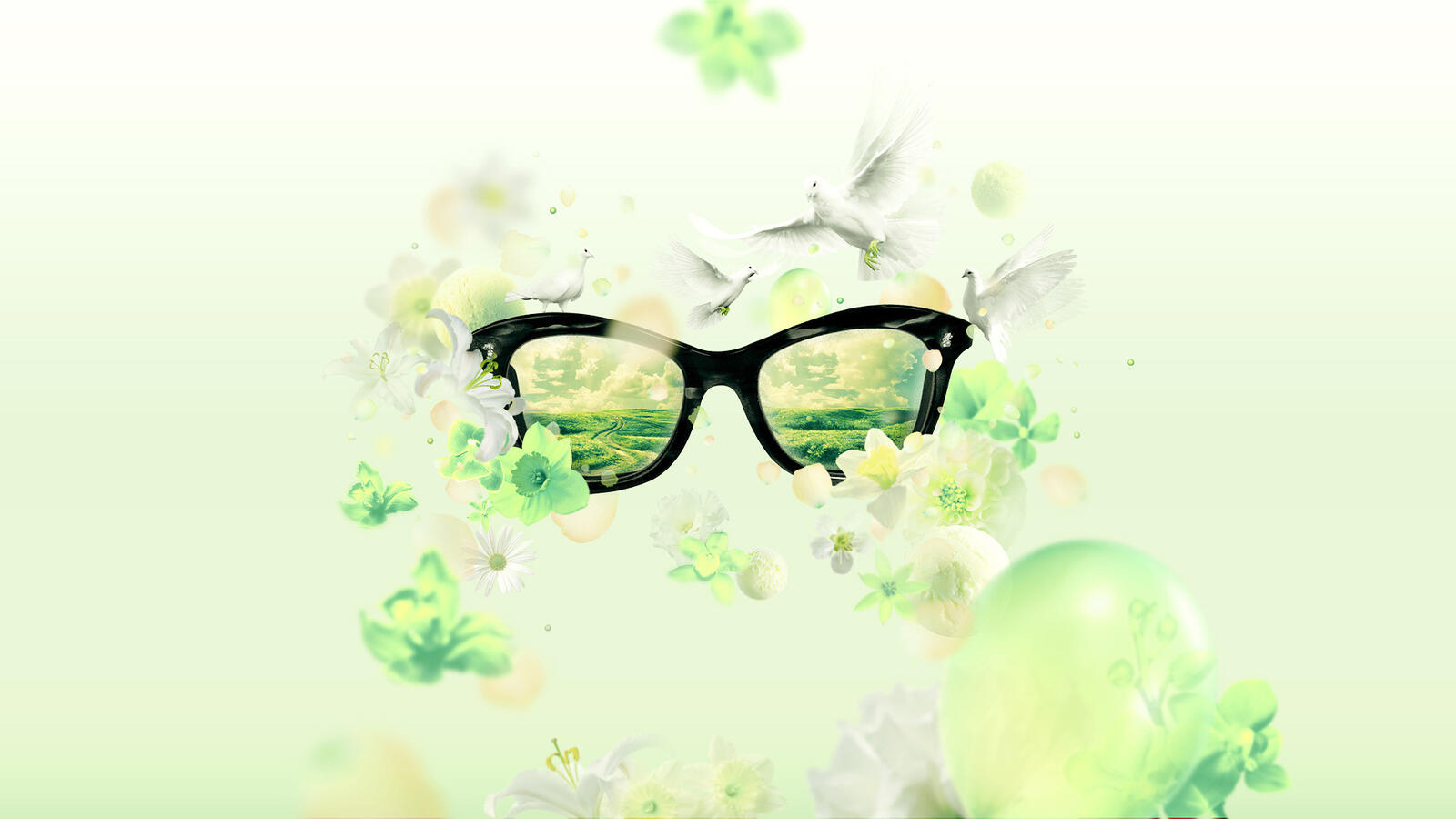 Wallpapers glasses reflection flowers on the desktop