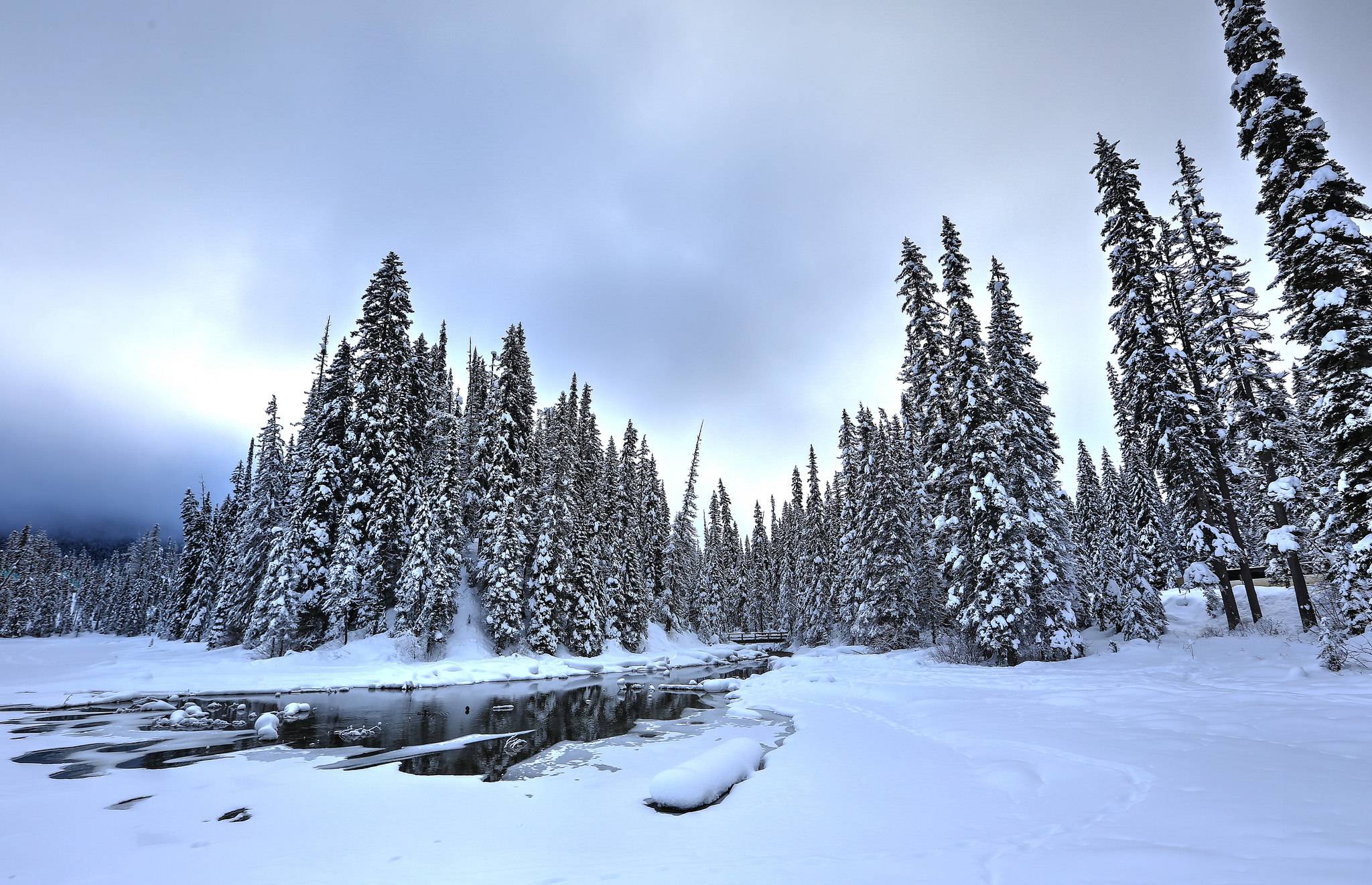 Обои Британская Колумбия зима национальный парк Йохо на рабочий стол