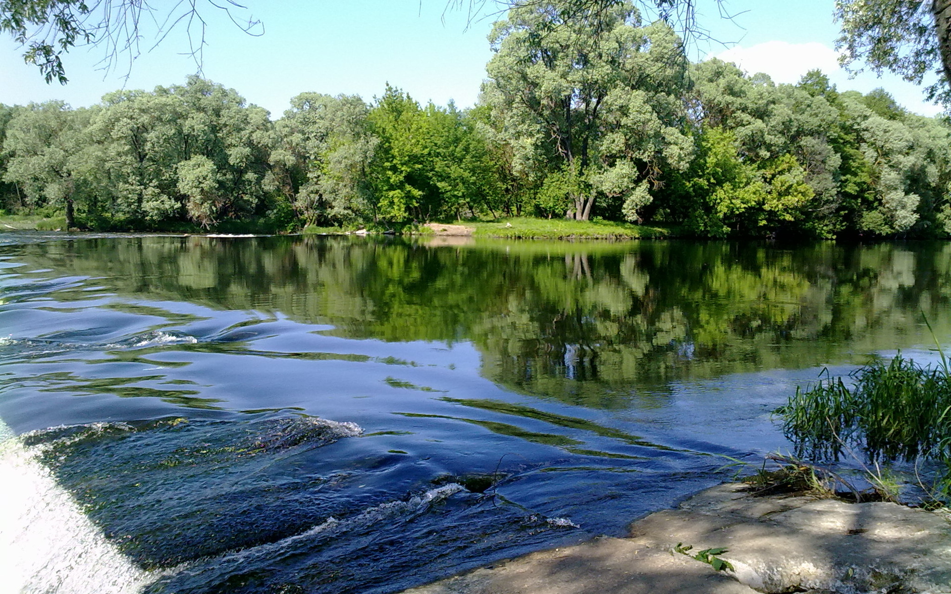 Река лето зелень бесплатно
