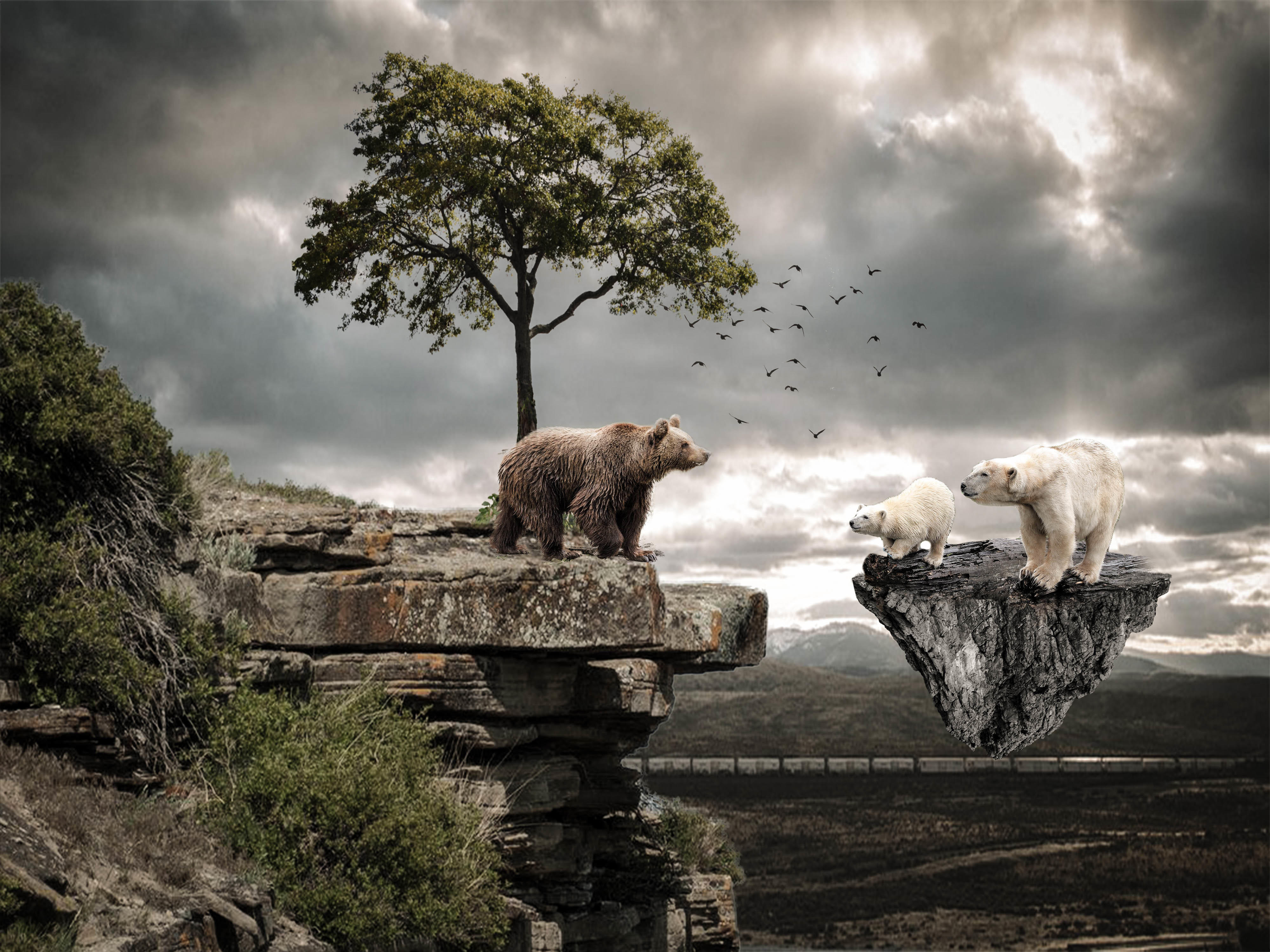 Фото бесплатно скалы, летающий остров, медведи