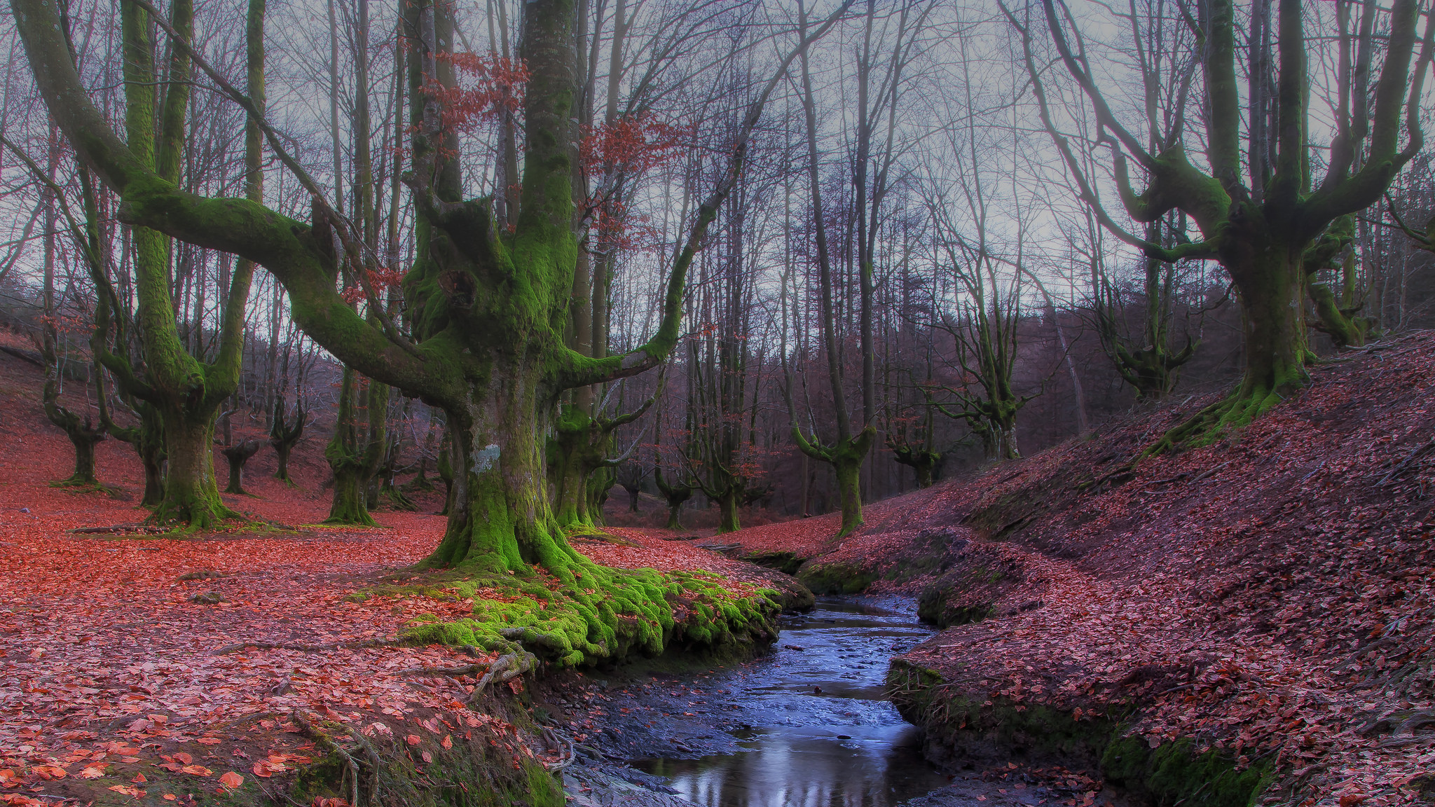 Wallpapers small river Basque Country Spain on the desktop