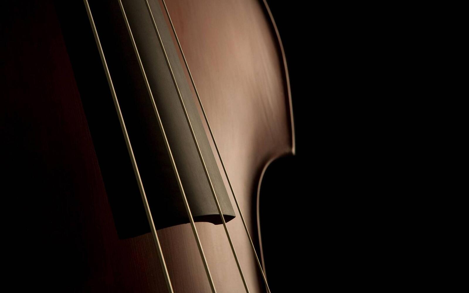 Wallpapers contrabass body strings on the desktop