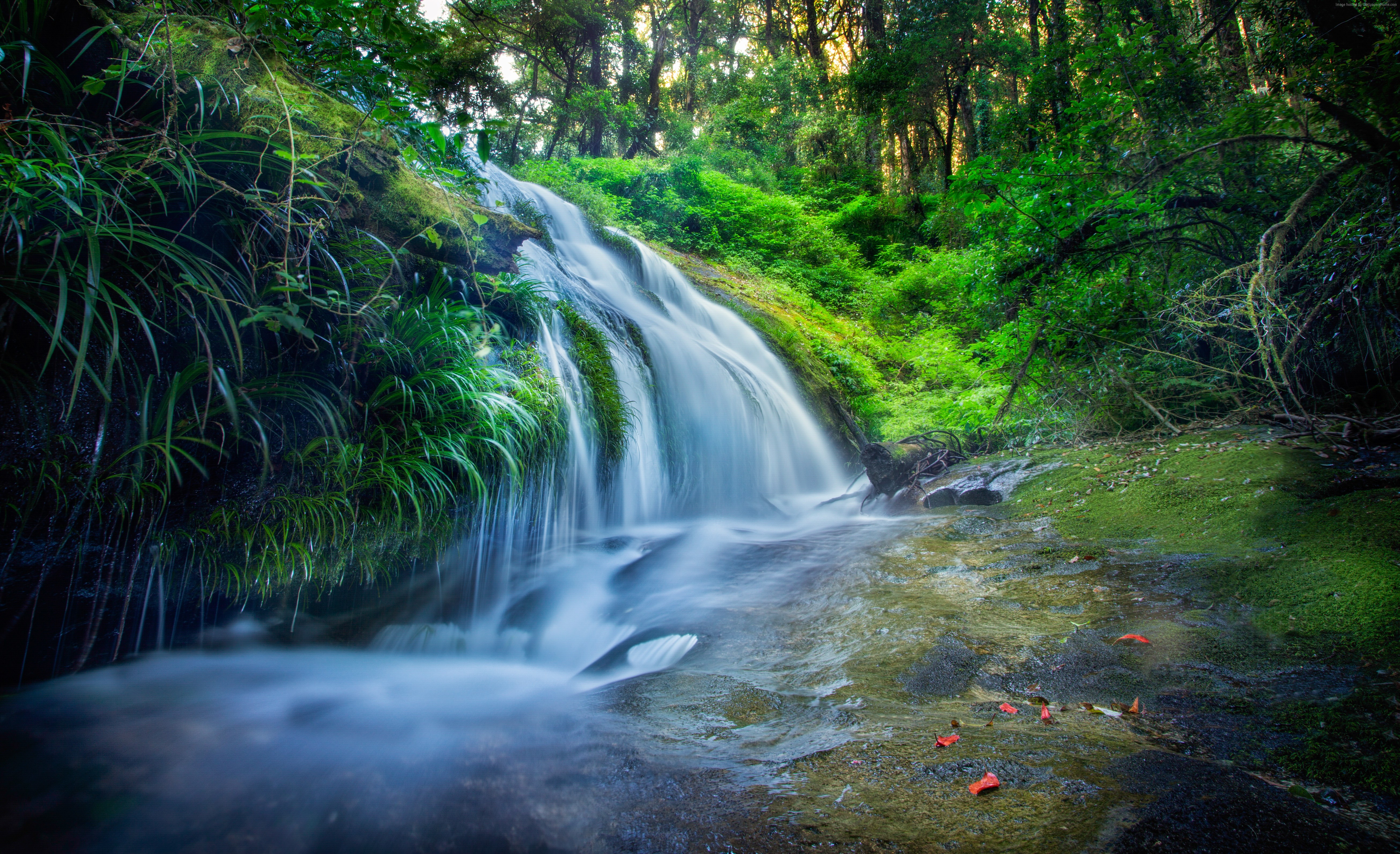 природа водопад деревья листья вода река без смс