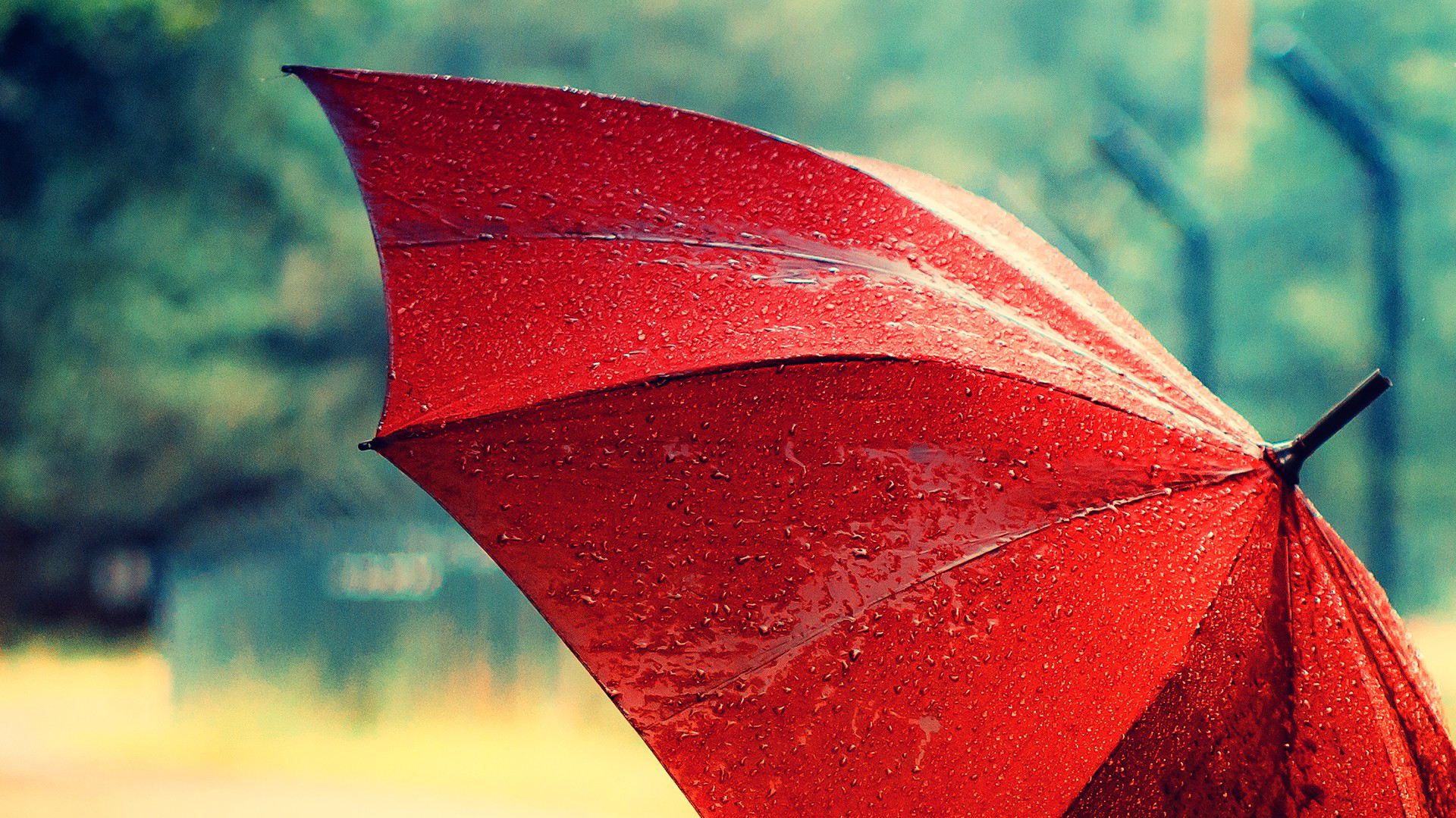 Обои зонтик раскрытый красный на рабочий стол