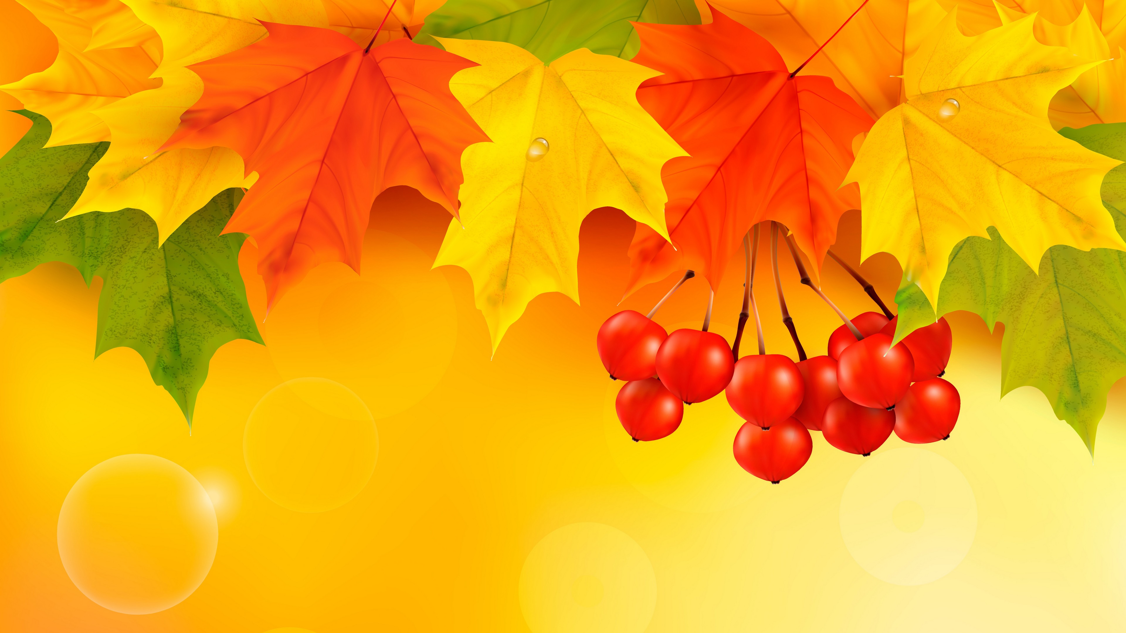Фото бесплатно кленовые листья, рябина, осень