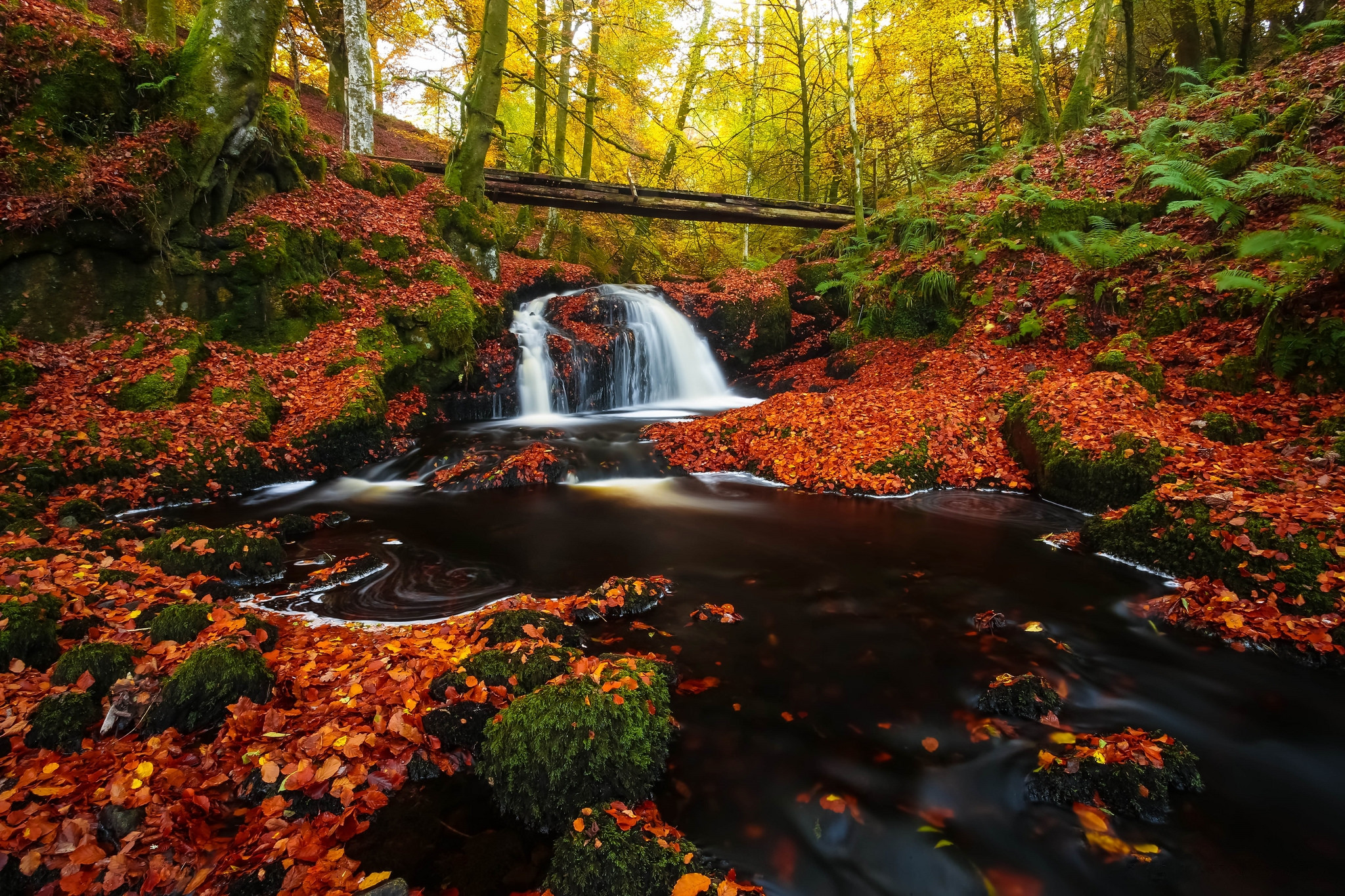 Wallpapers fallen leaves waterfall in the forest trees on the desktop