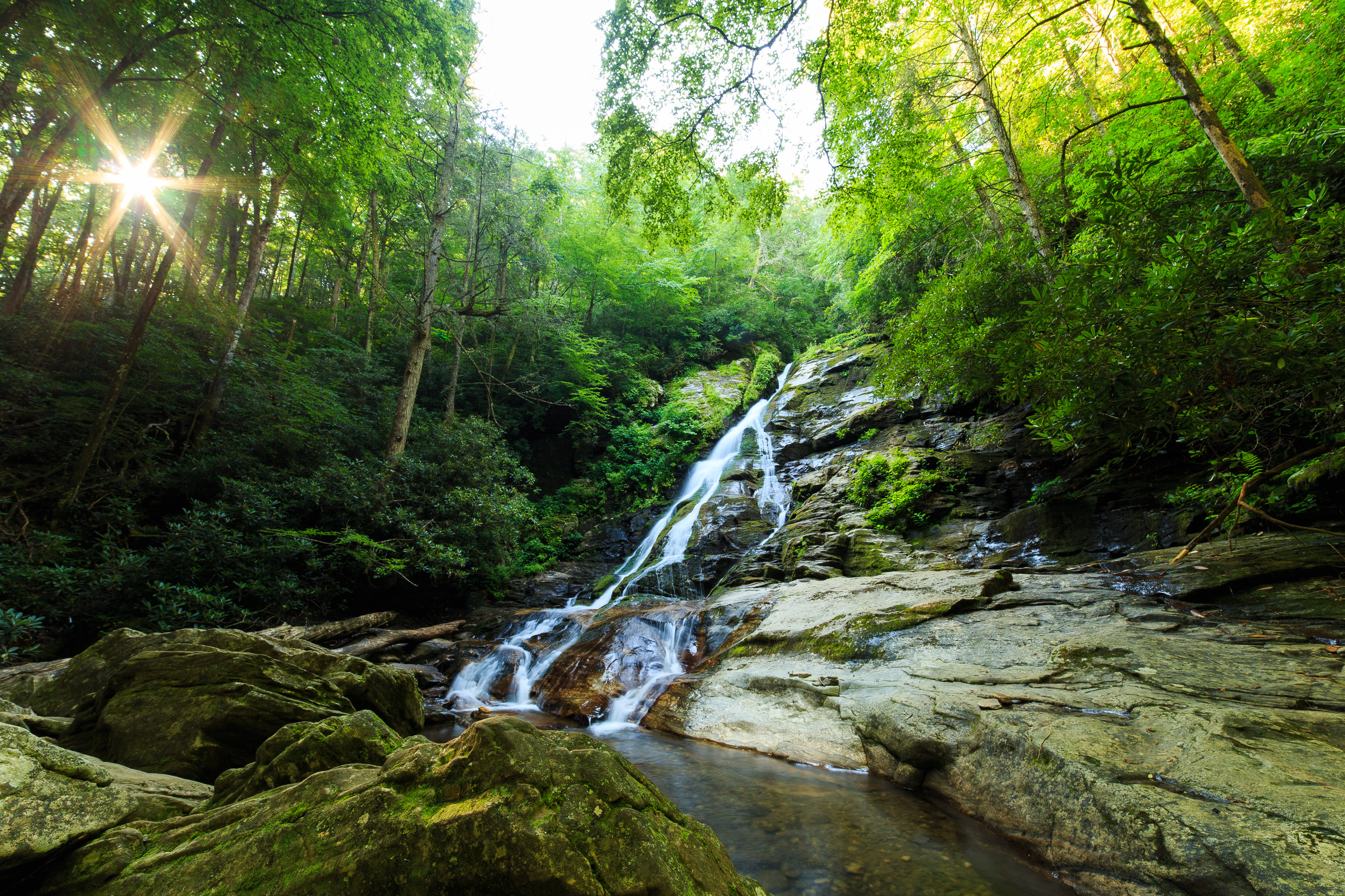 Wallpapers green leaves trees waterfall in the forest on the desktop