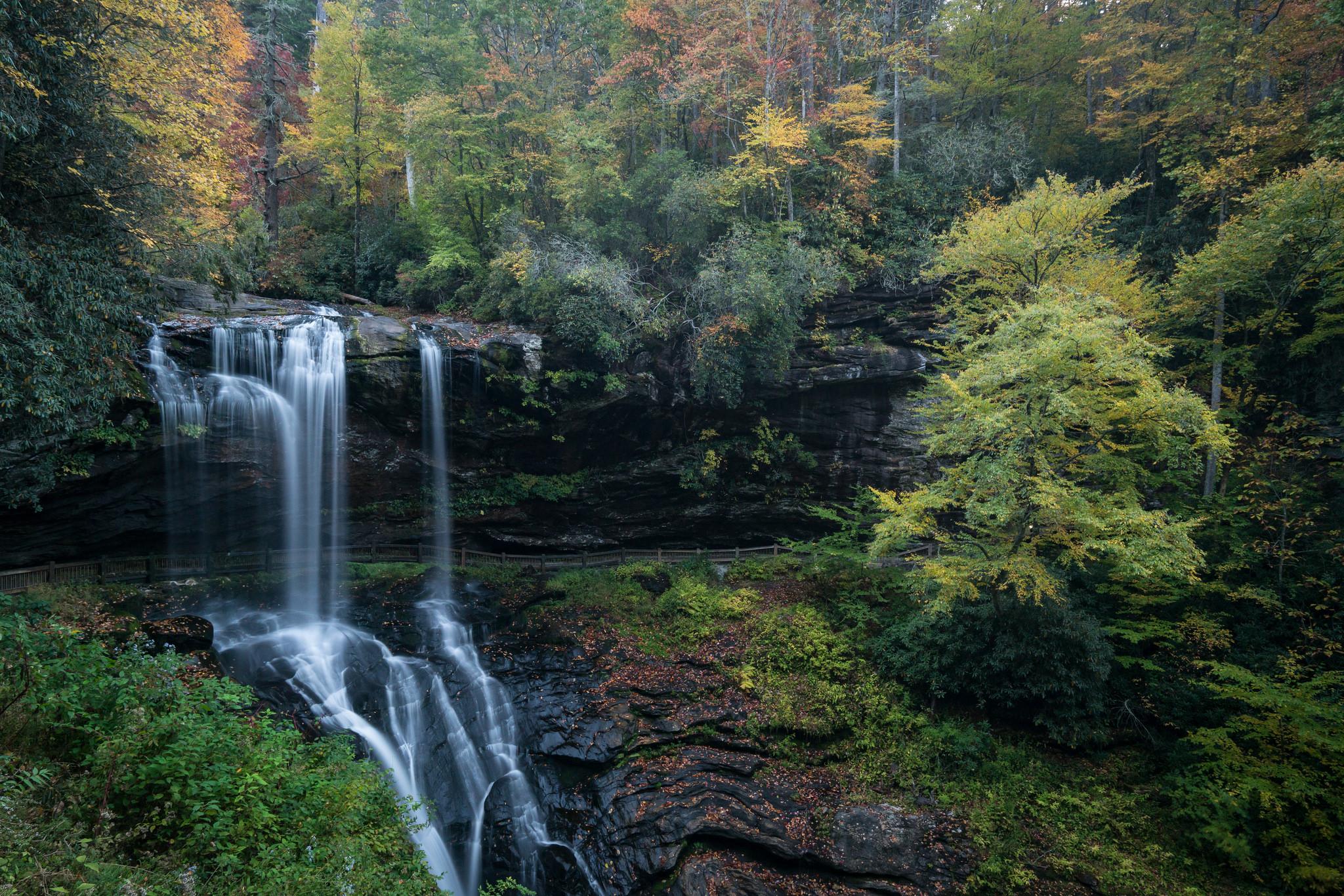 Фото бесплатно водопад, летний лес, зеленые листья