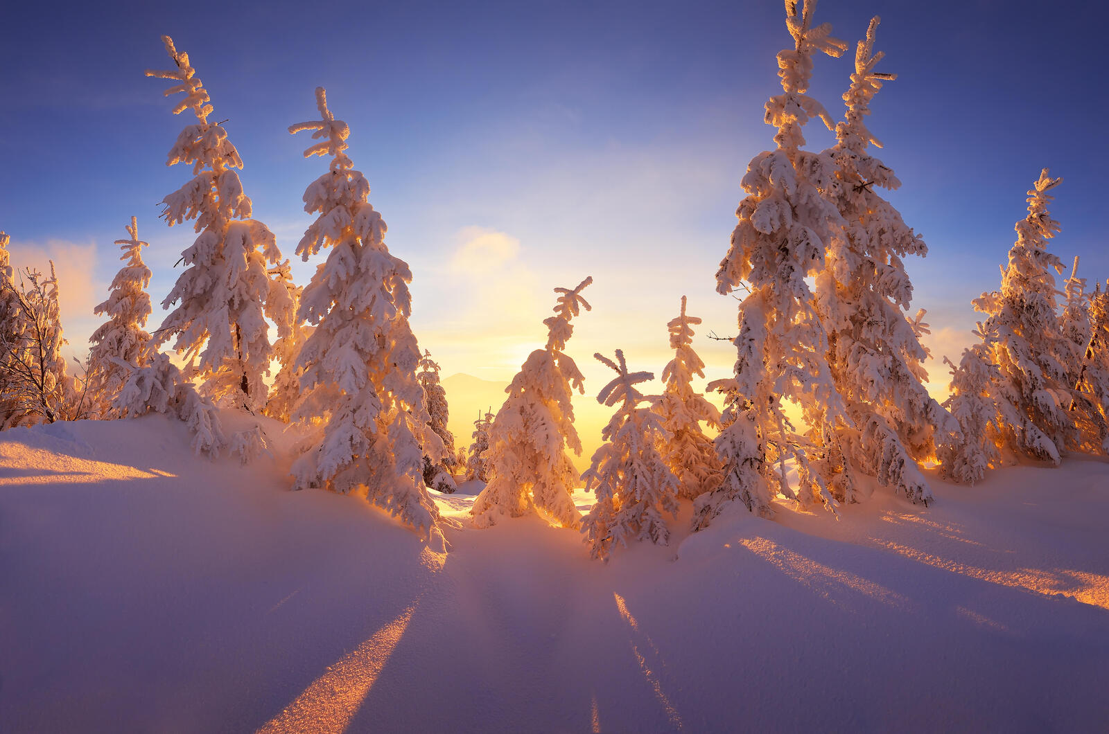 Обои зима деревья в снегу пейзаж на рабочий стол