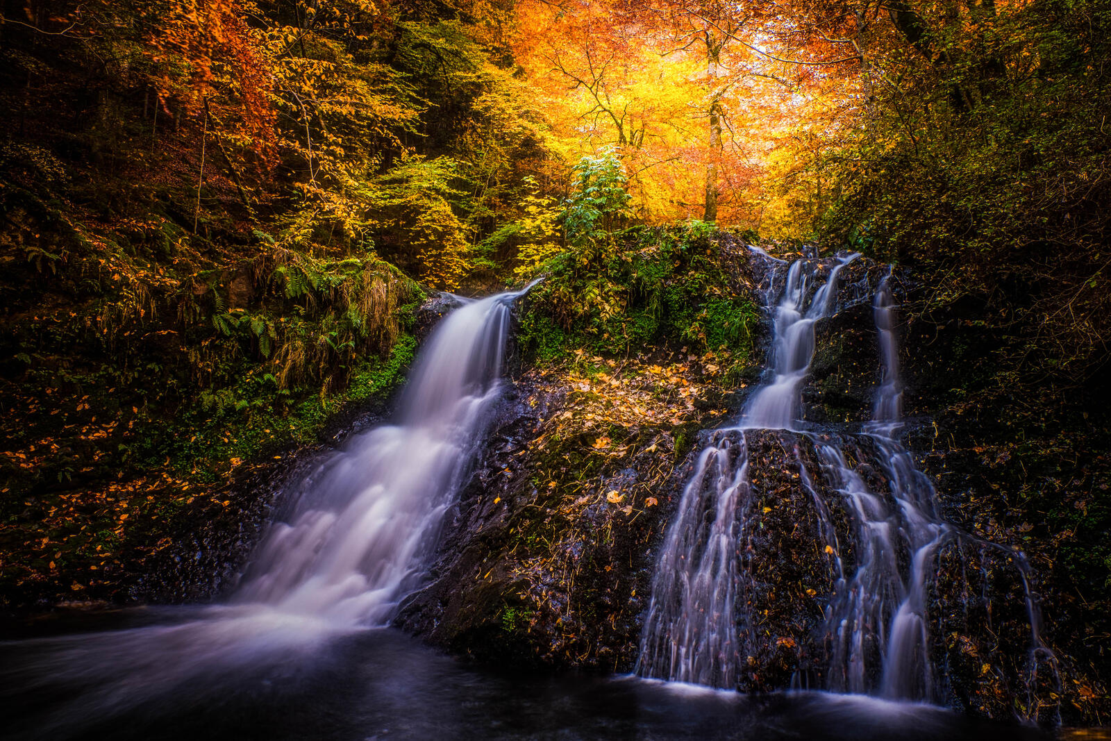 Wallpapers waterfall in the forest trees autumn forest on the desktop