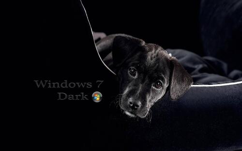 Windows 7 Dark dog
