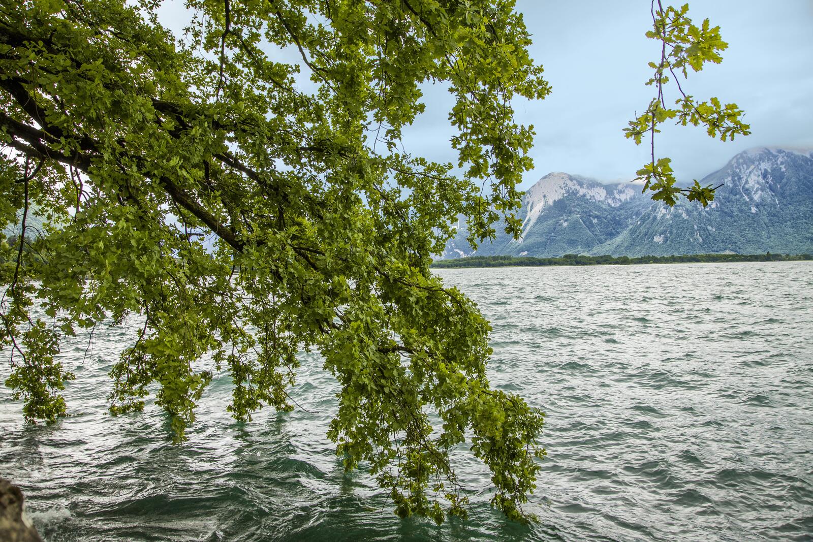 Wallpapers Geneve lake Alps Switzerland on the desktop