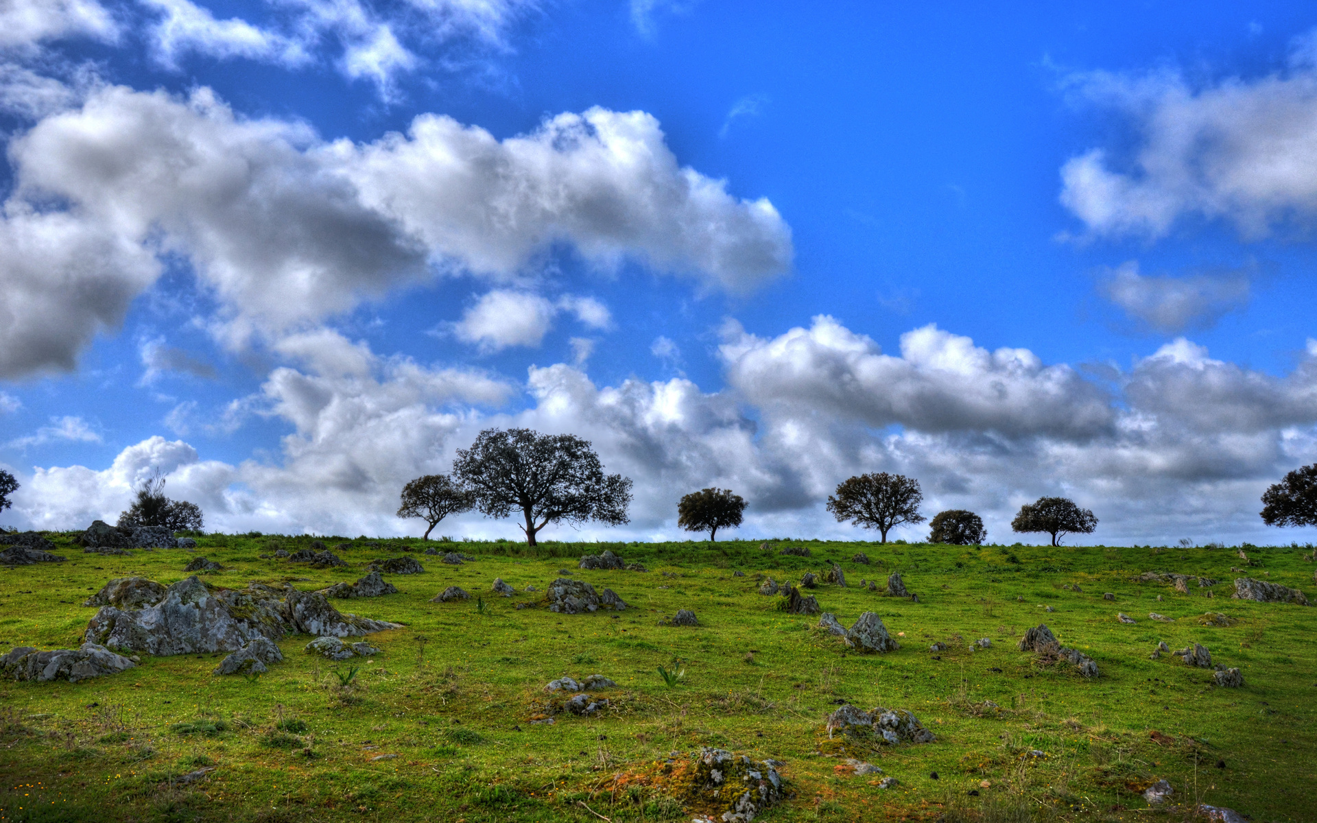 Фото бесплатно холм, трава, камни