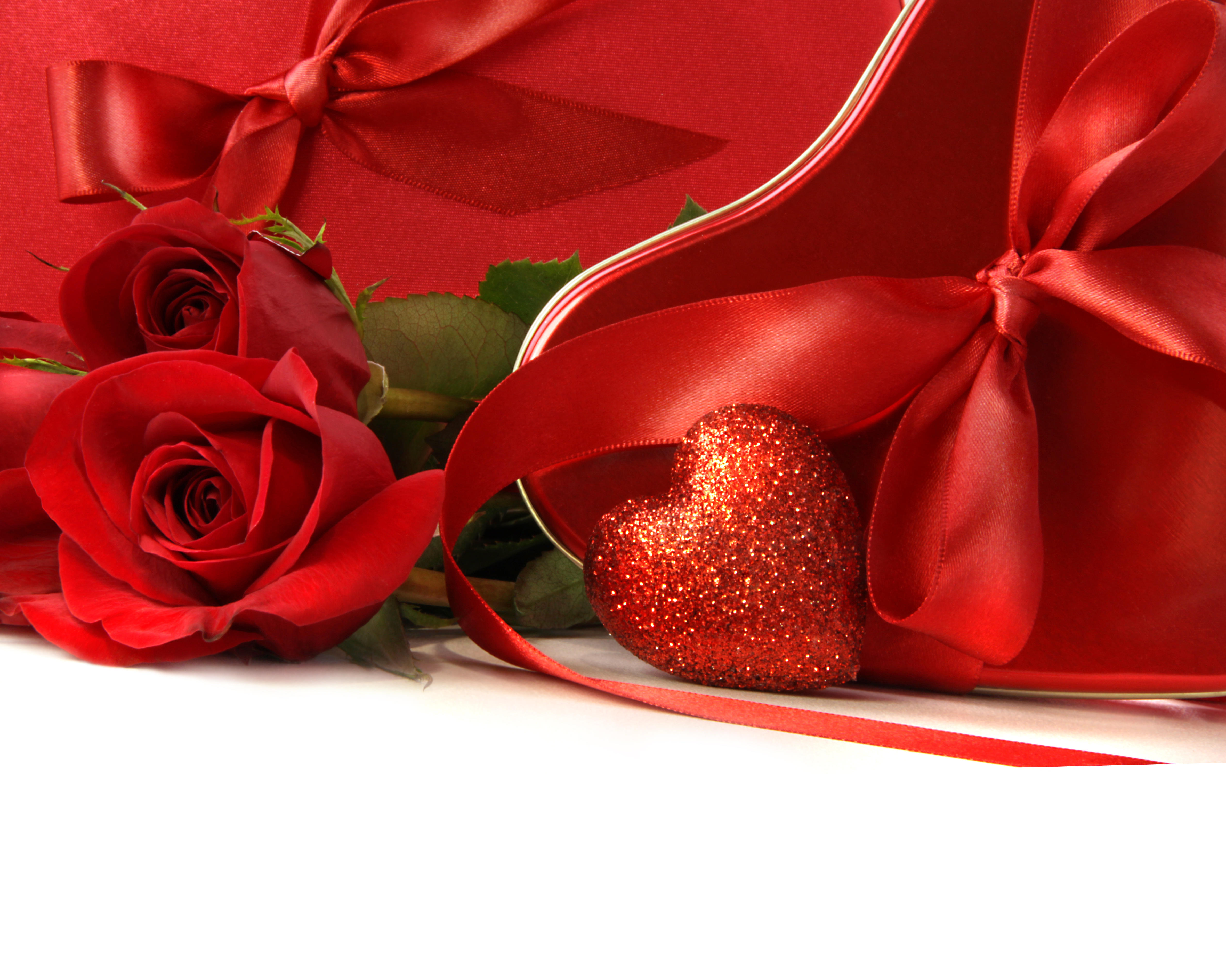Фото бесплатно роза, красные бутоны, одинокая роза