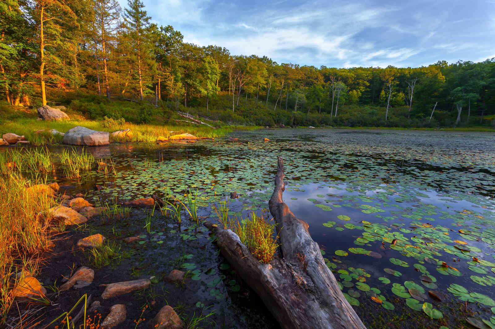 Обои Государственный парк Гарриман Нью-Йорк озеро на рабочий стол