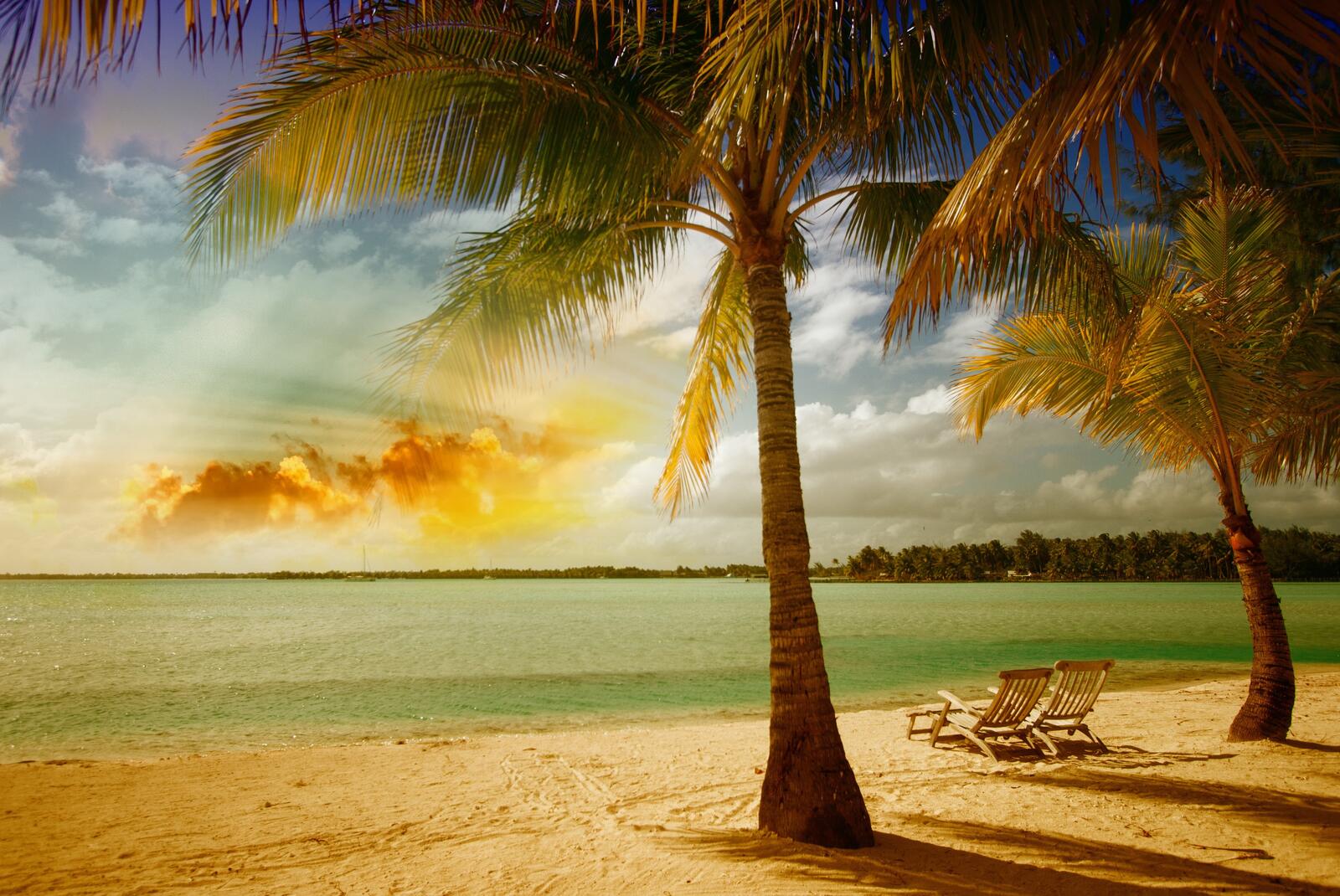 Обои пляж и пальмы море пляжные кресла на рабочий стол